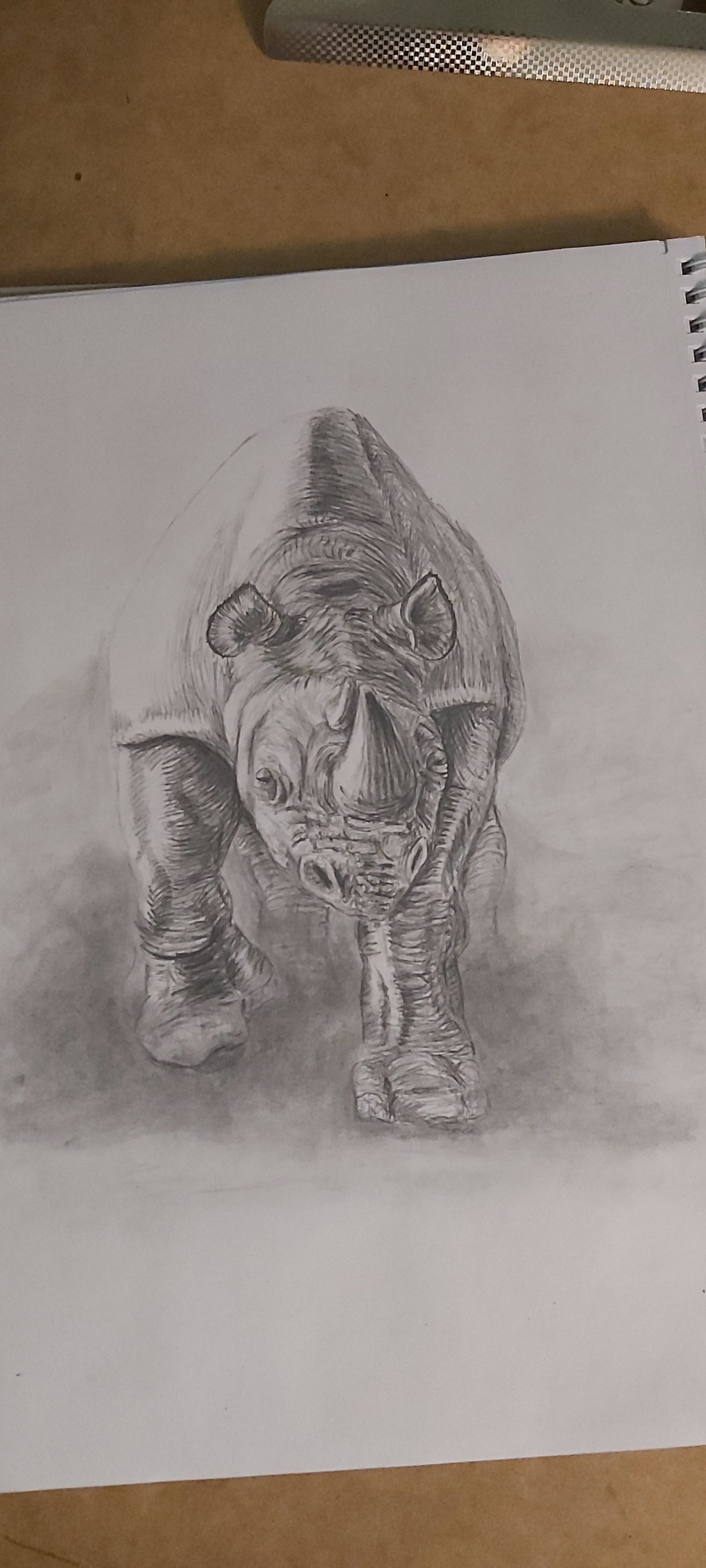 Hippo - My, Art, hippopotamus, Drawing, Sketch, Pencil drawing, Longpost
