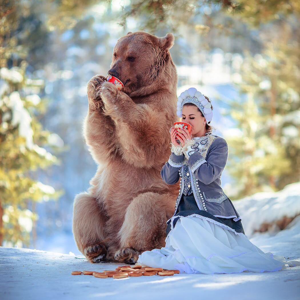 Stepan and the ladies - The Bears, Girls, Longpost, Medved Stepan