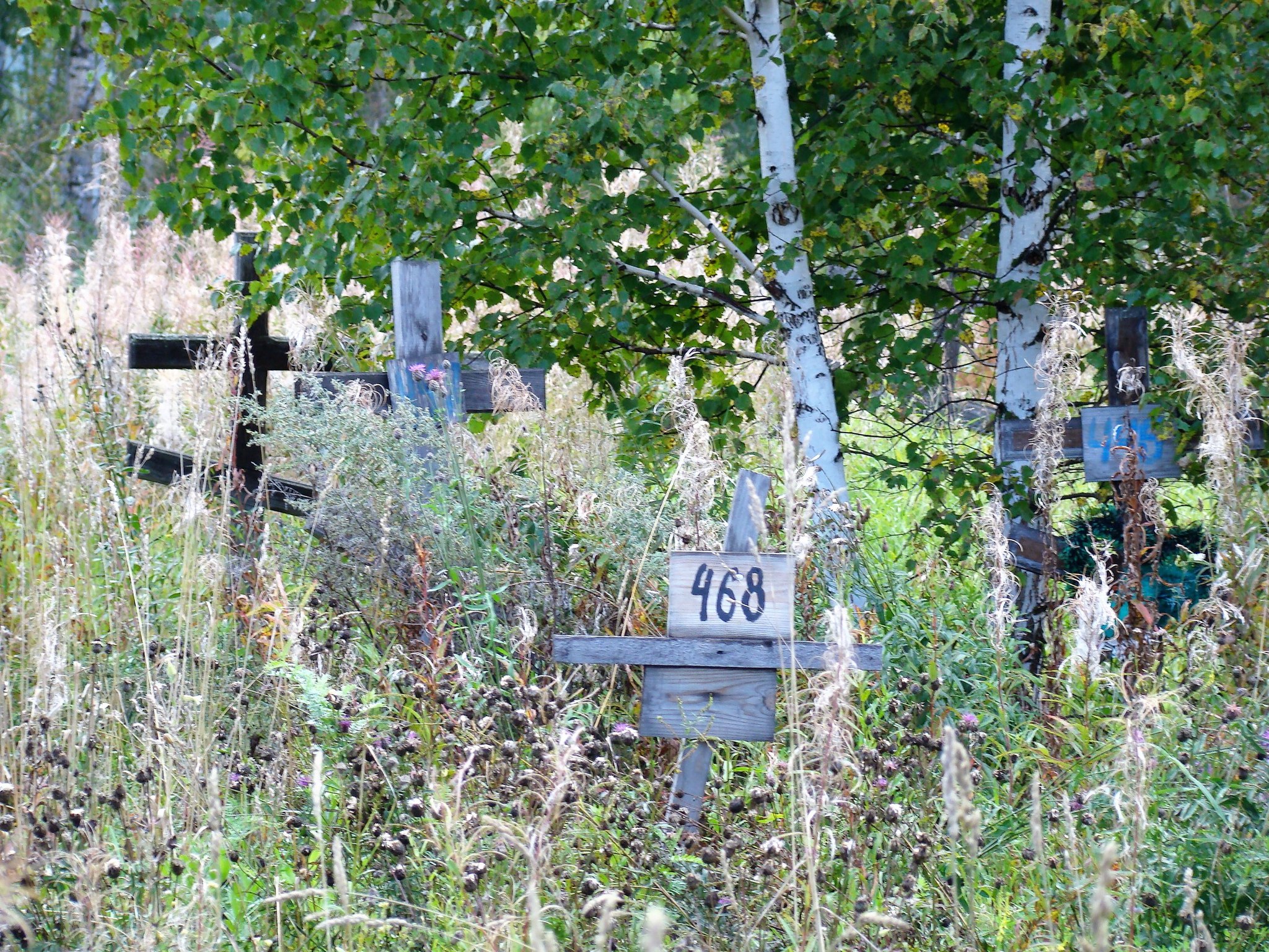 Cemeteries of the homeless - My, Cemetery, Death, Homeless, Russia, Longpost, Negative