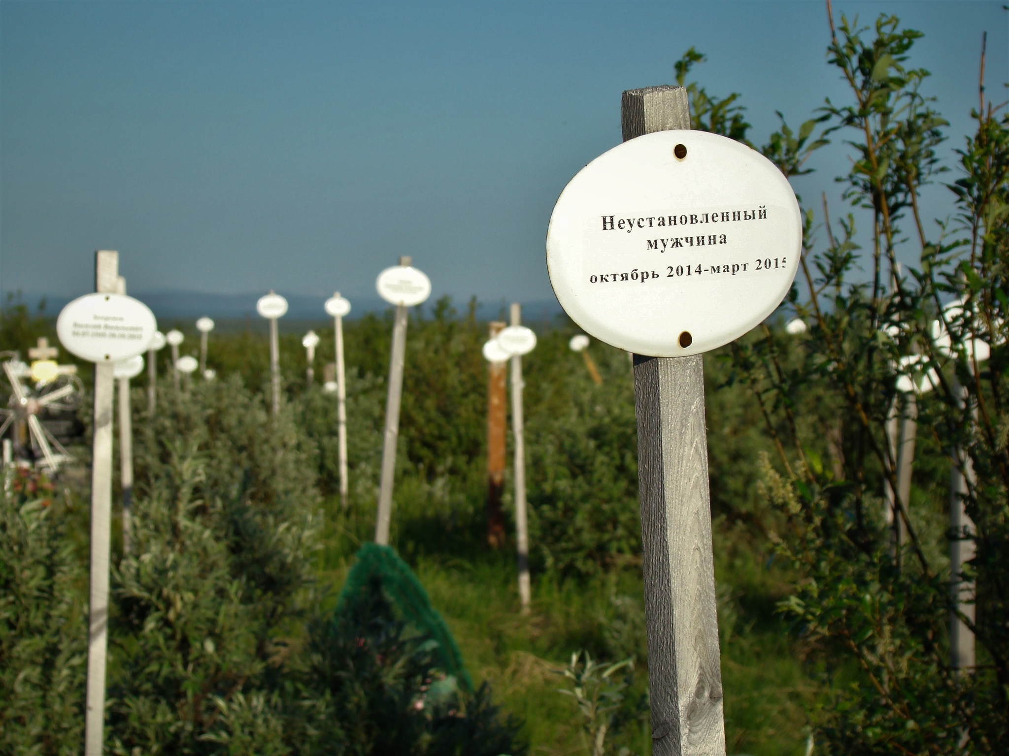 Cemeteries of the homeless - My, Cemetery, Death, Homeless, Russia, Longpost, Negative