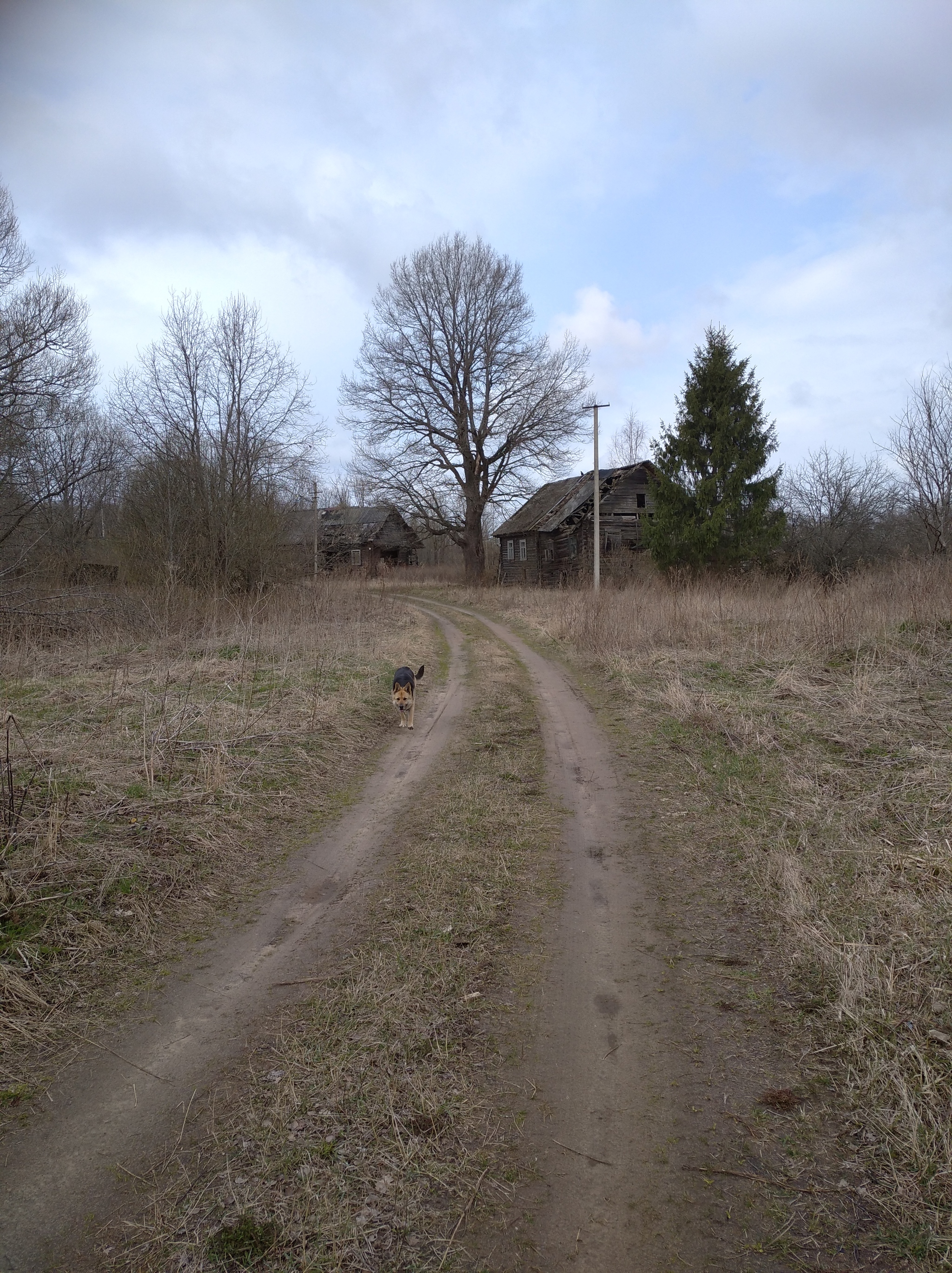 How I “started preparing for coronavirus” 8 years ago and ended up not being ready - My, Village, A crisis, Blacksmith, Farm, Longpost