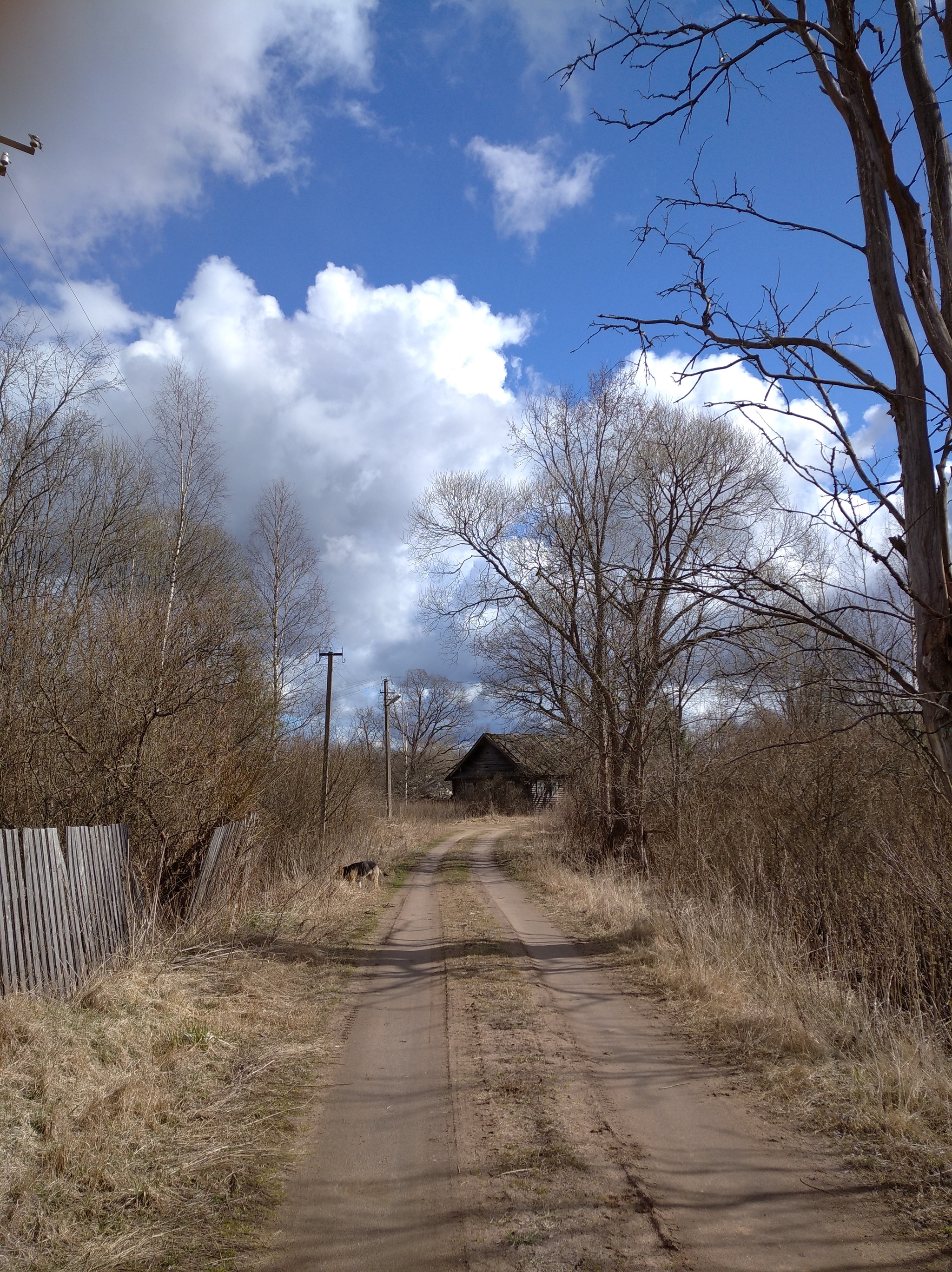 How I “started preparing for coronavirus” 8 years ago and ended up not being ready - My, Village, A crisis, Blacksmith, Farm, Longpost