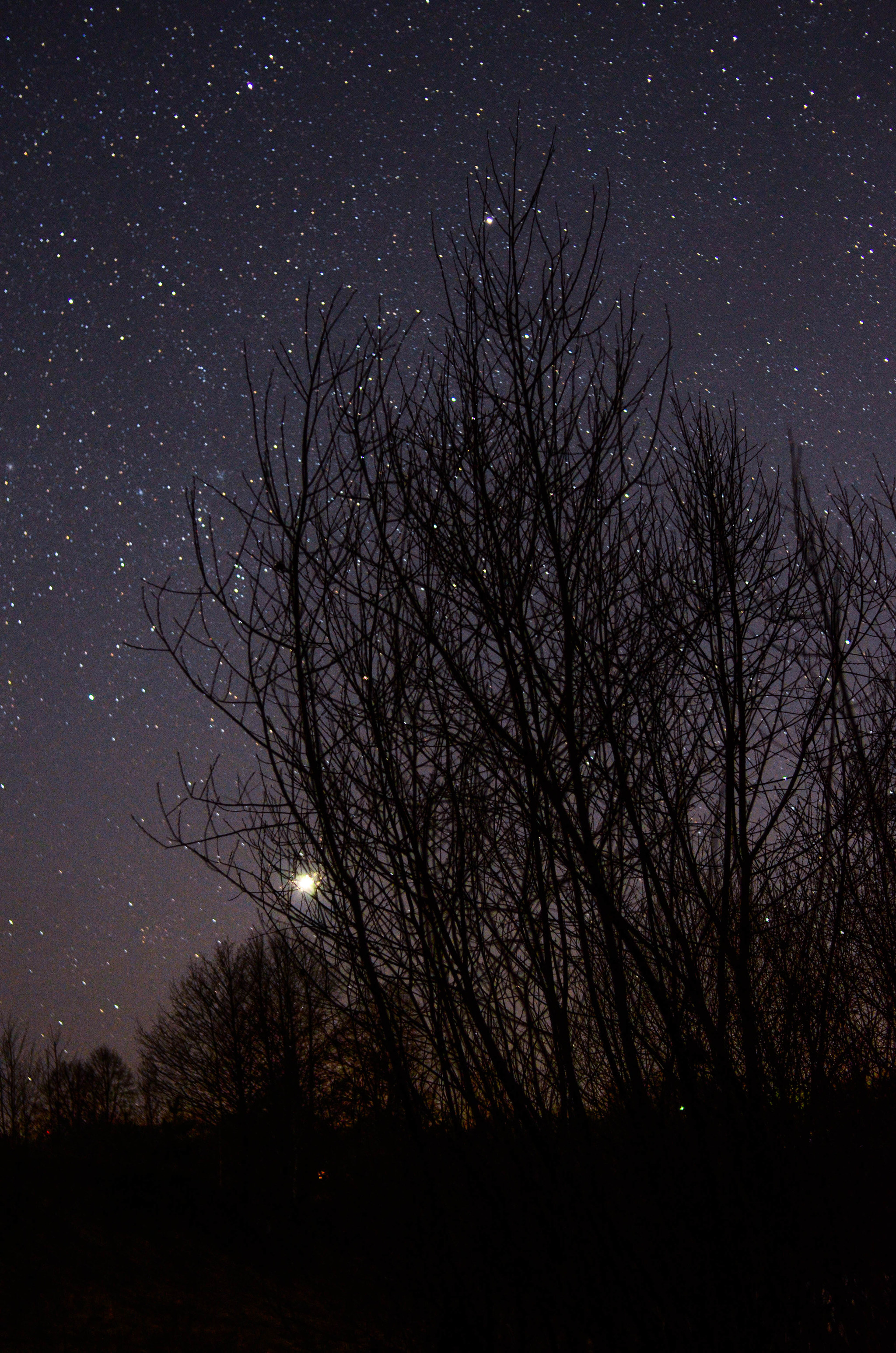 One spring evening - My, Longpost, Nikon, Starry sky, Sky, Stars