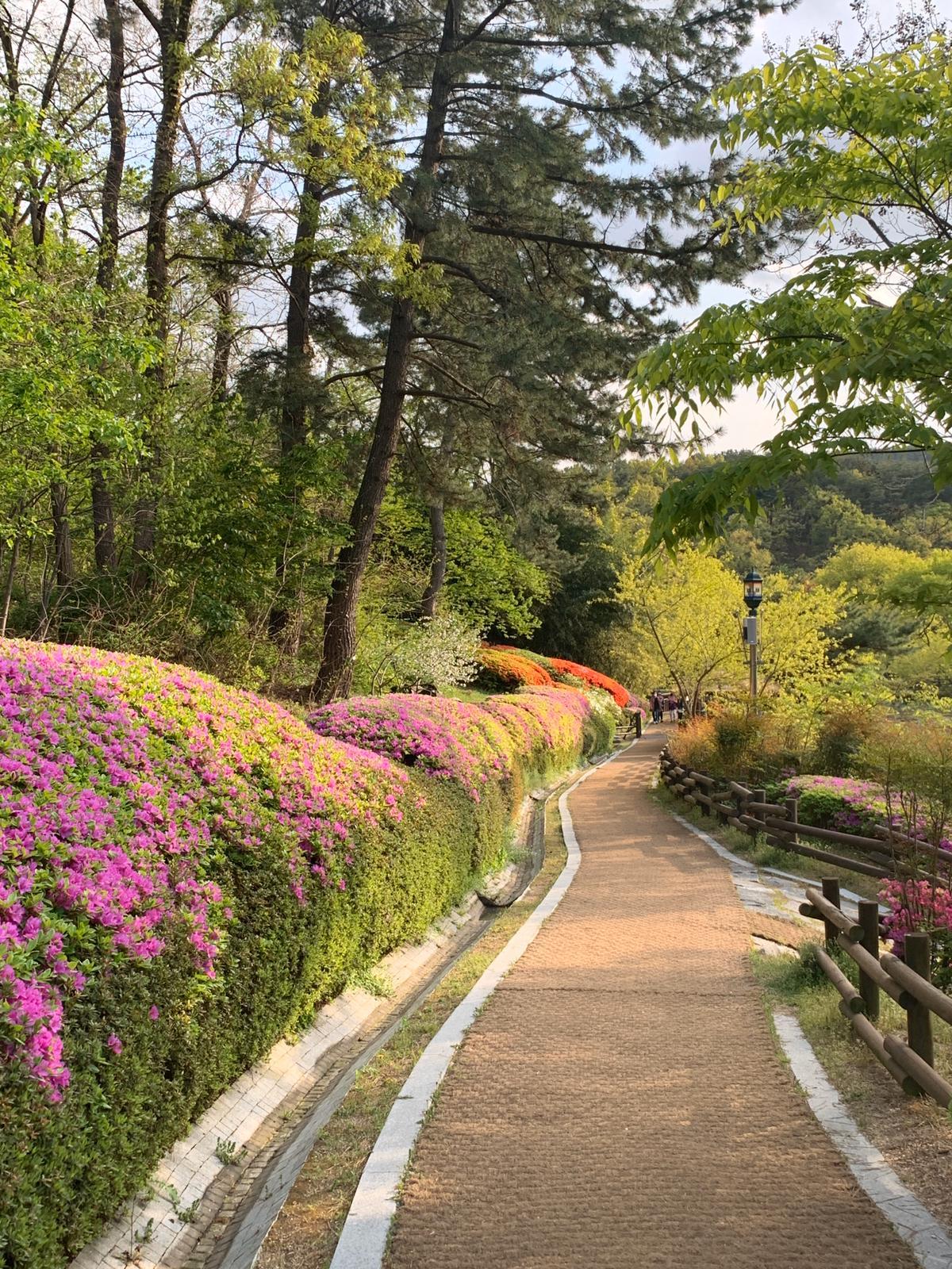 The smallest Catholic church in the world (but this is not certain) - My, South Korea, The park, Temple, Buddhist temple, Longpost