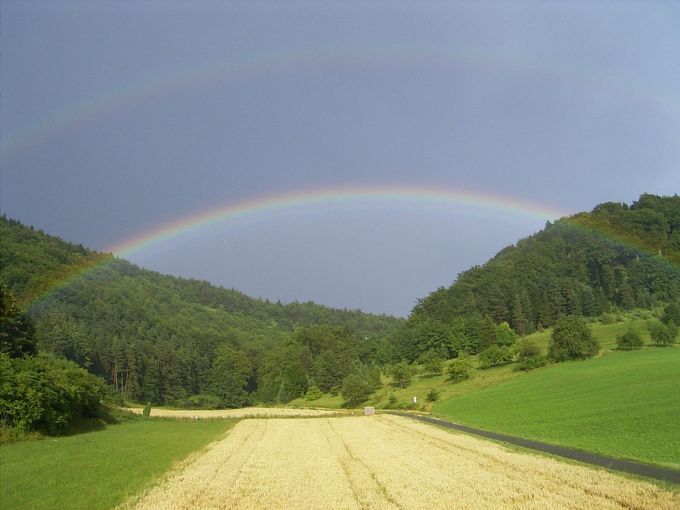 Rainbow | Пикабу