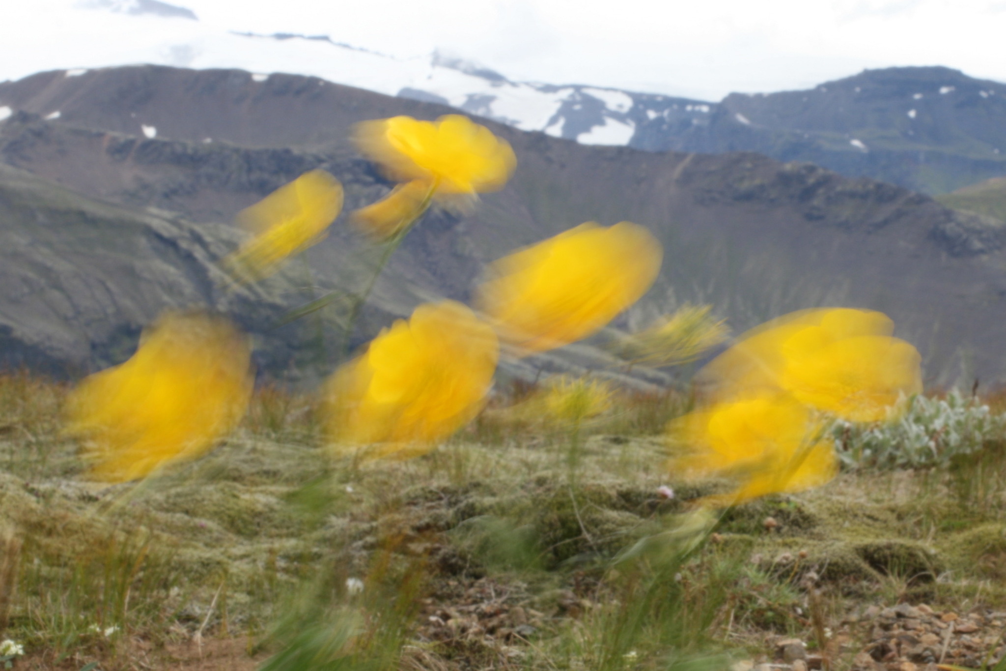 Where would you like to return: Iceland - My, Iceland, Ice, Wind, Waterfall, Canon 400D, Longpost