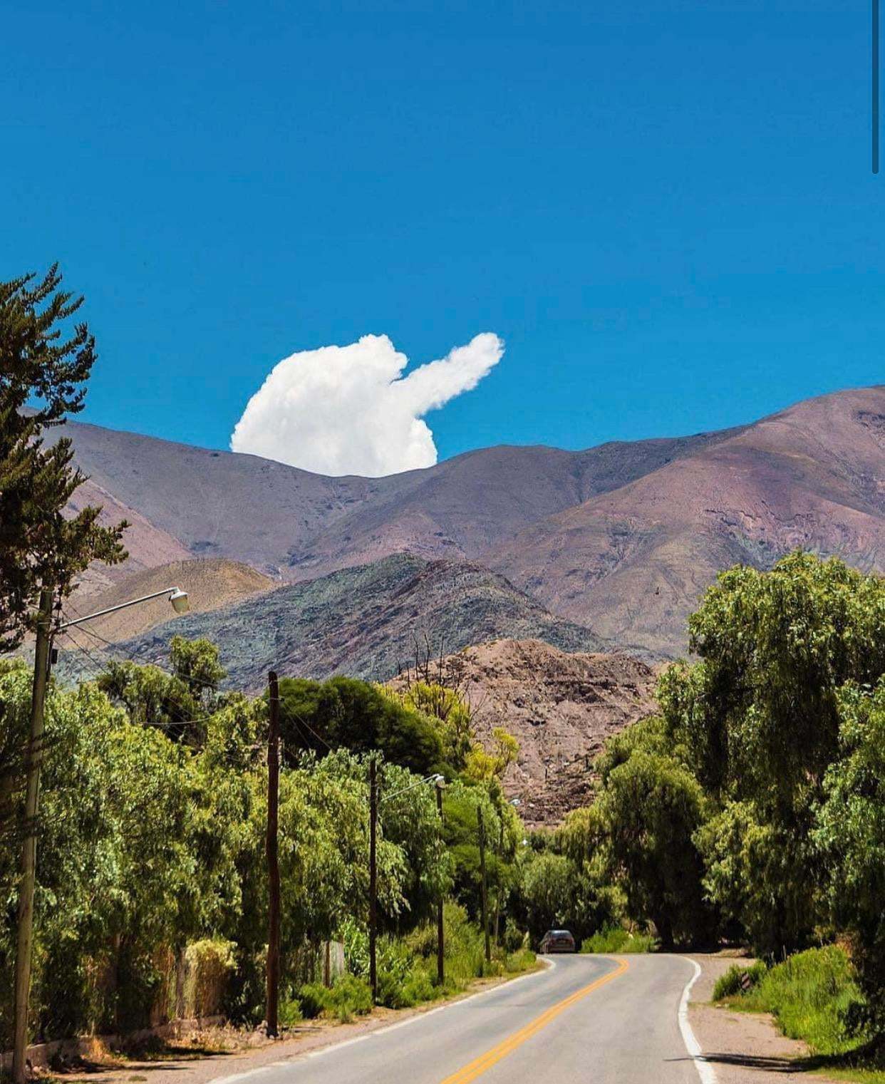 Today in the cloud I saw a fat bear with an outstretched paw, it’s so cute - Clouds, The Bears, Optimism