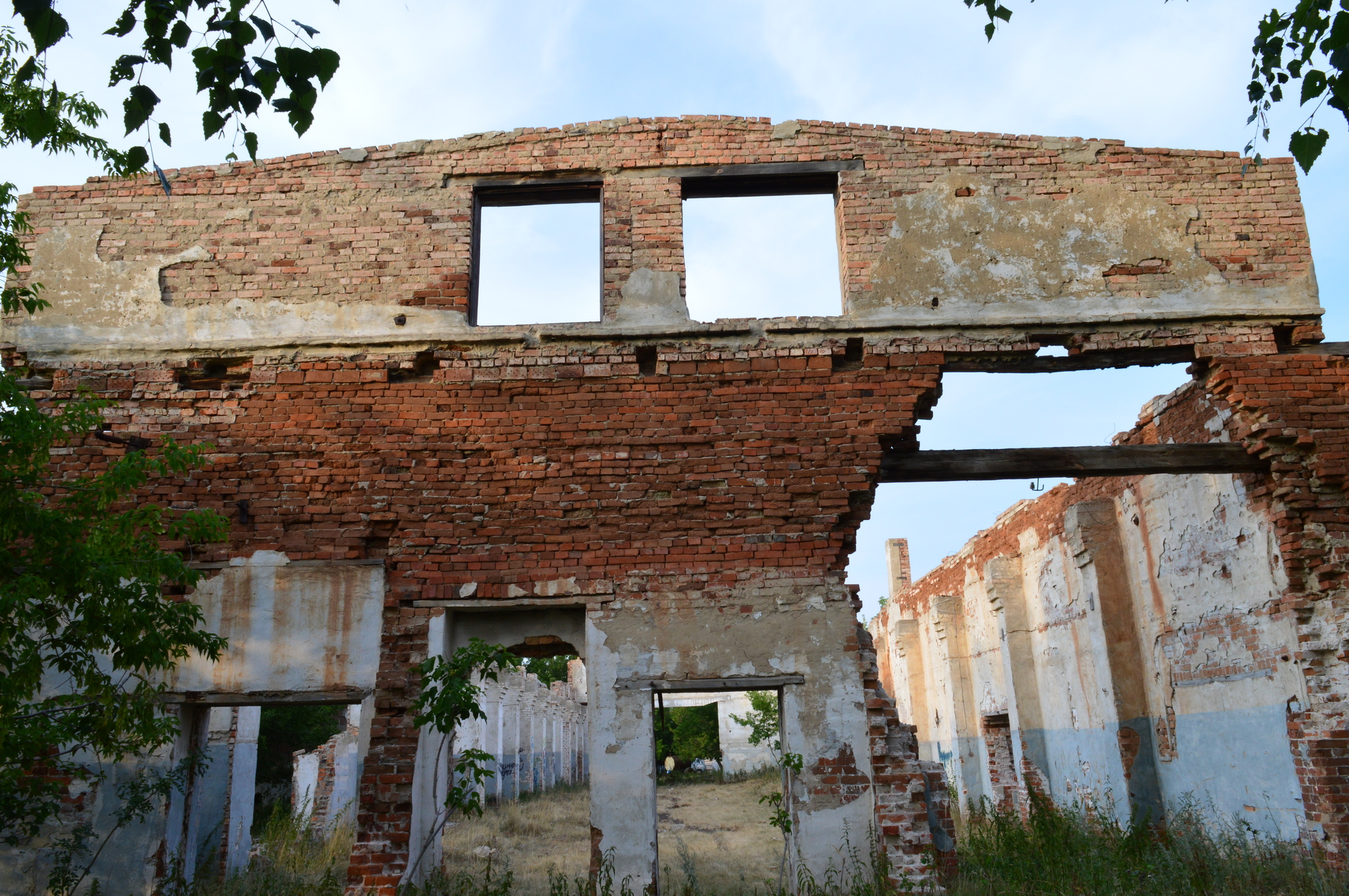 Remains of an advanced civilization - My, the USSR, Russia, Village, Past, Negative, 90th, Longpost