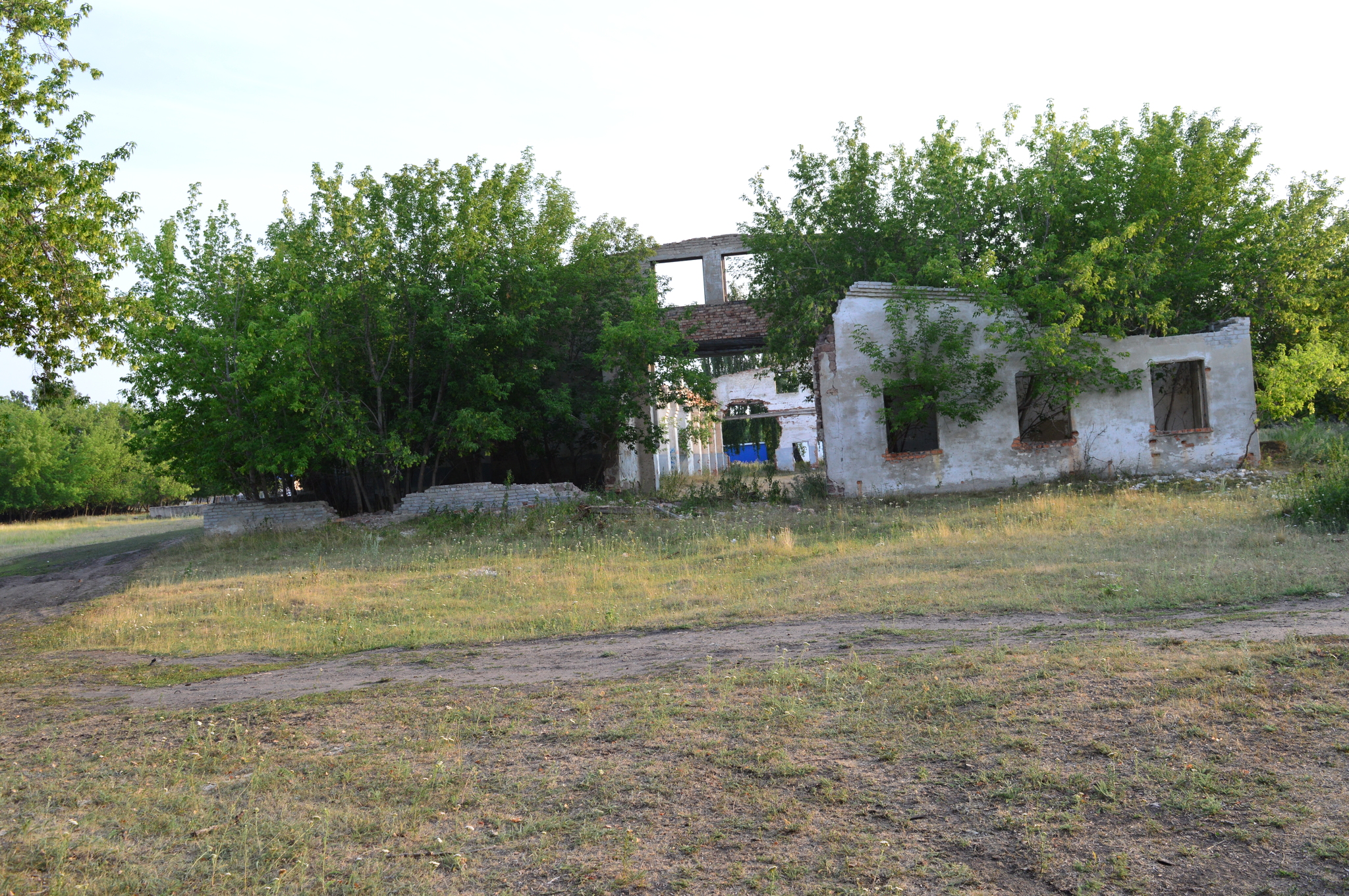 Remains of an advanced civilization - My, the USSR, Russia, Village, Past, Negative, 90th, Longpost