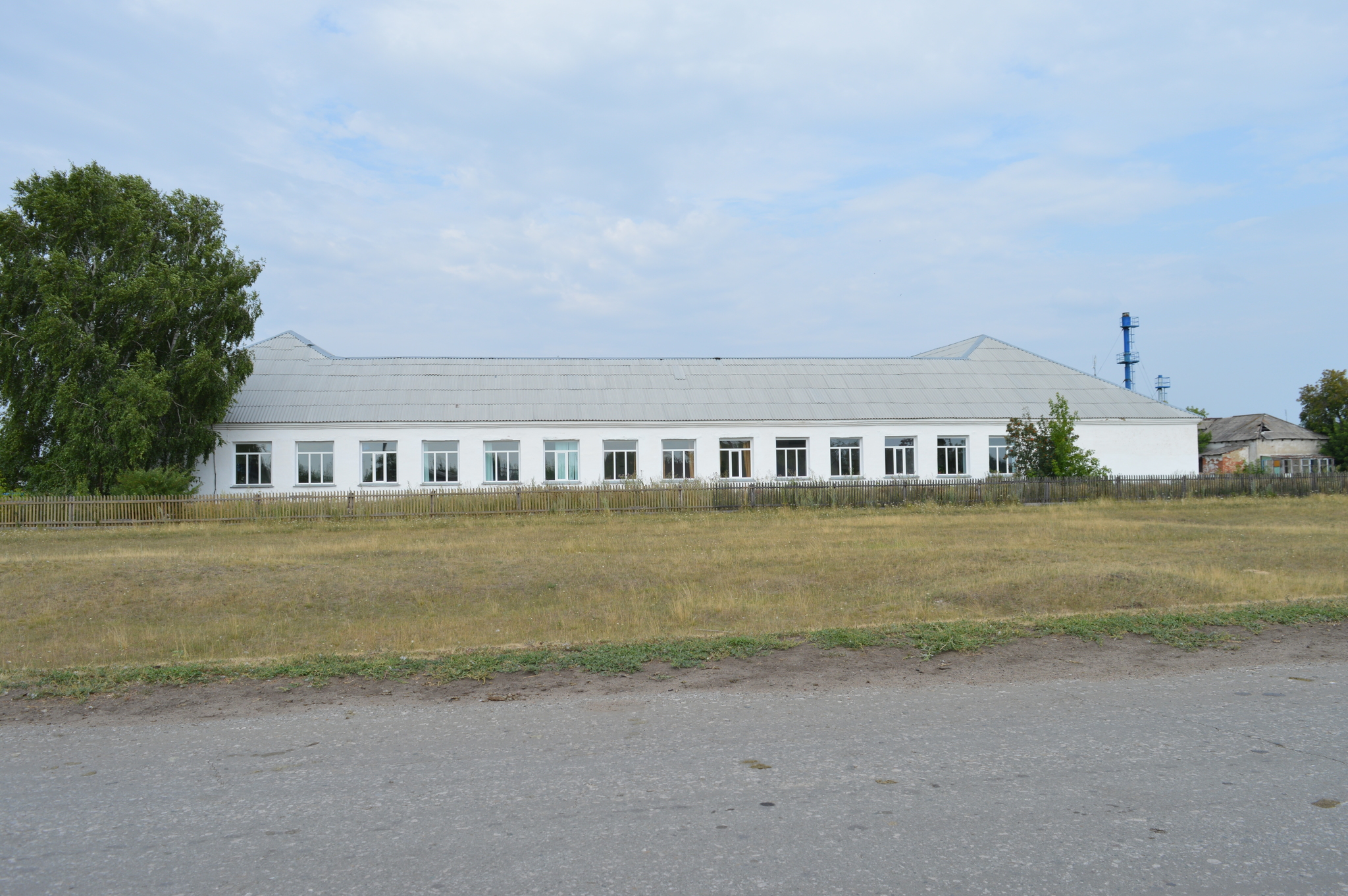 Remains of an advanced civilization - My, the USSR, Russia, Village, Past, Negative, 90th, Longpost