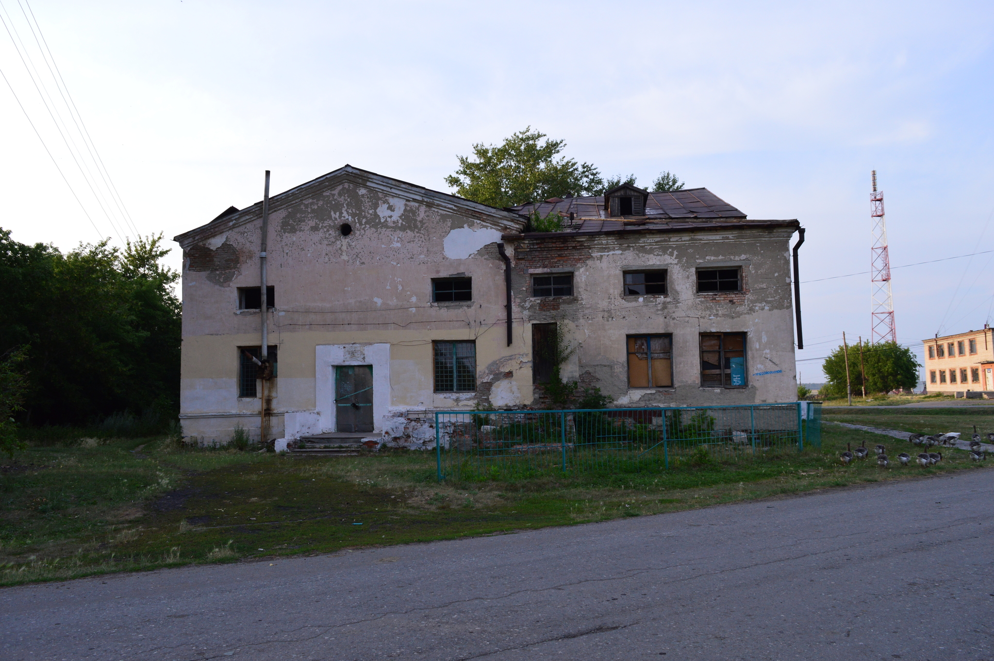 Remains of an advanced civilization - My, the USSR, Russia, Village, Past, Negative, 90th, Longpost