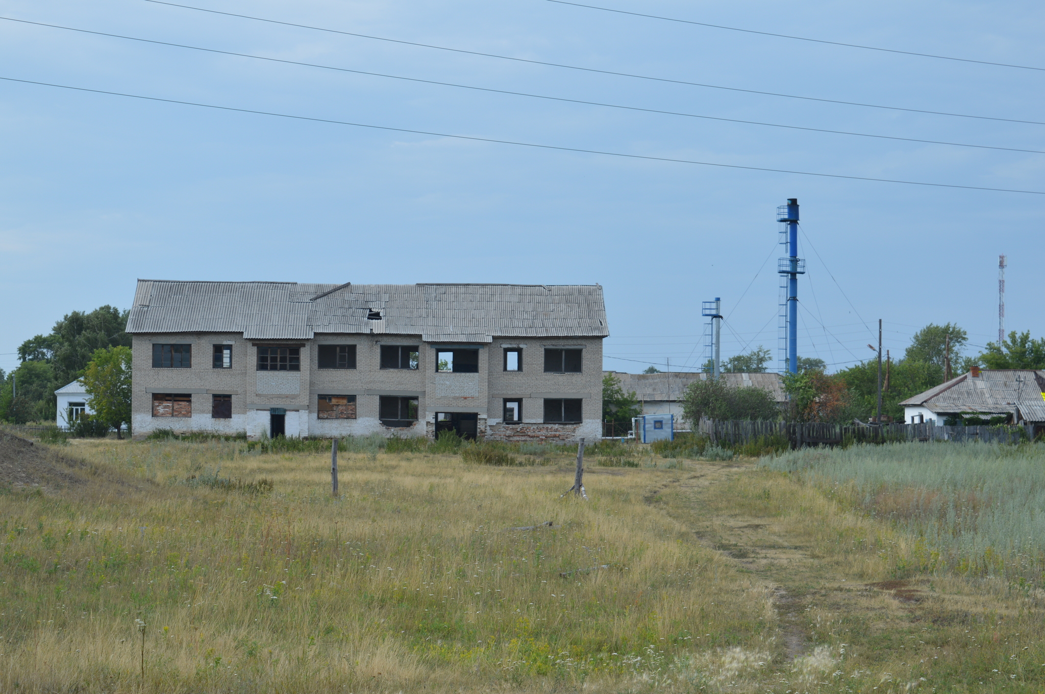 Remains of an advanced civilization - My, the USSR, Russia, Village, Past, Negative, 90th, Longpost