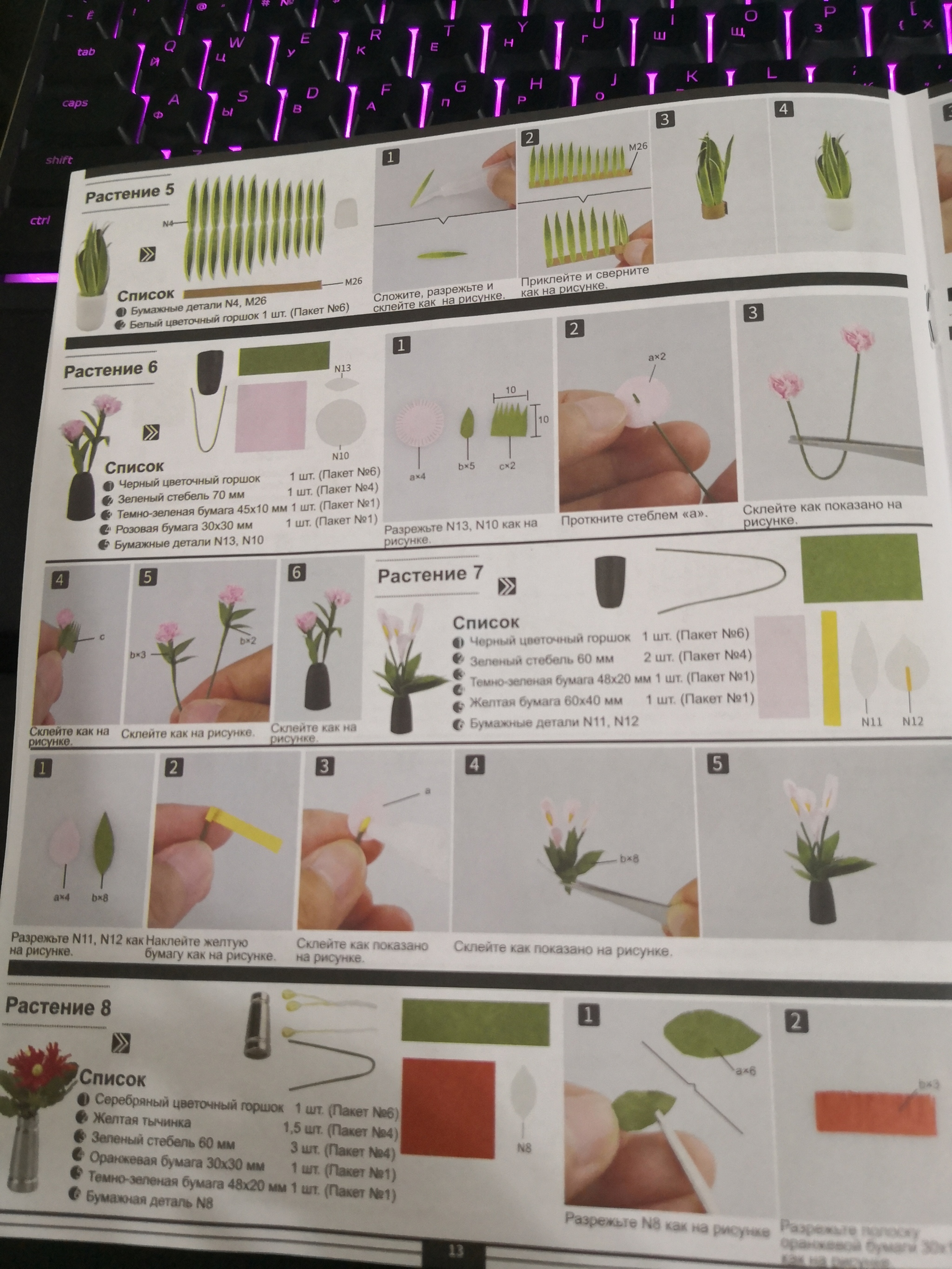 Winter garden in miniature - My, Constructor, With your own hands, Quarantine, Longpost, Needlework with process