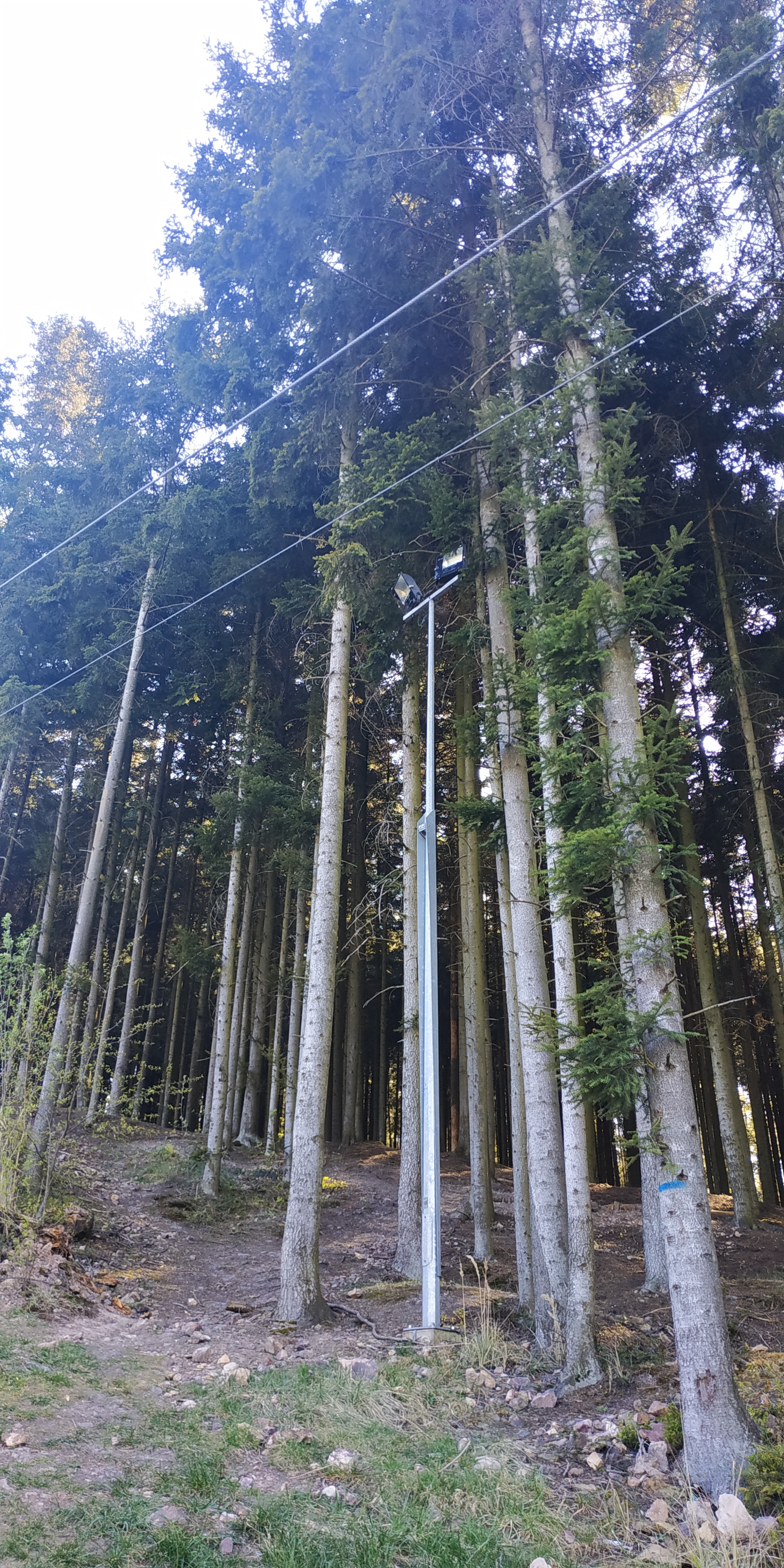 Mount Telegraph - My, Forest, Nature, Ski slope, Poland, Longpost