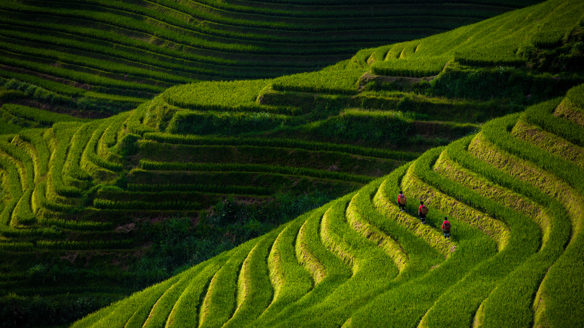 Победители европейского конкурса WPE INTERNATIONAL PHOTOGRAPHERS AWARDS - Красота, Конкурс, Фотография, Длиннопост