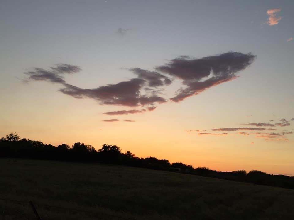 Cloud - Clouds, Whale, Reddit