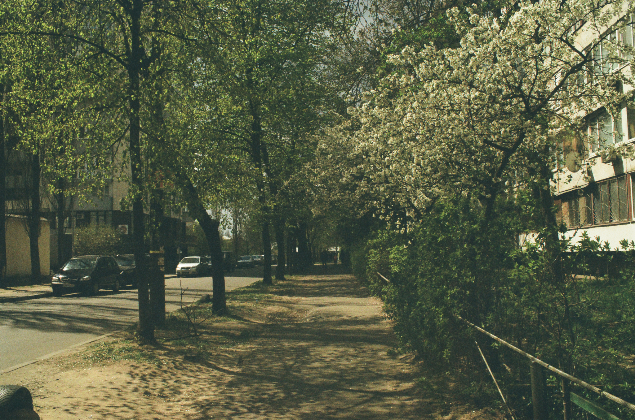 Analog photography part 2. I liked it, let's continue - My, camera roll, The photo, Longpost, Film cameras, Quarantine, Kyiv-19, Helios-81n