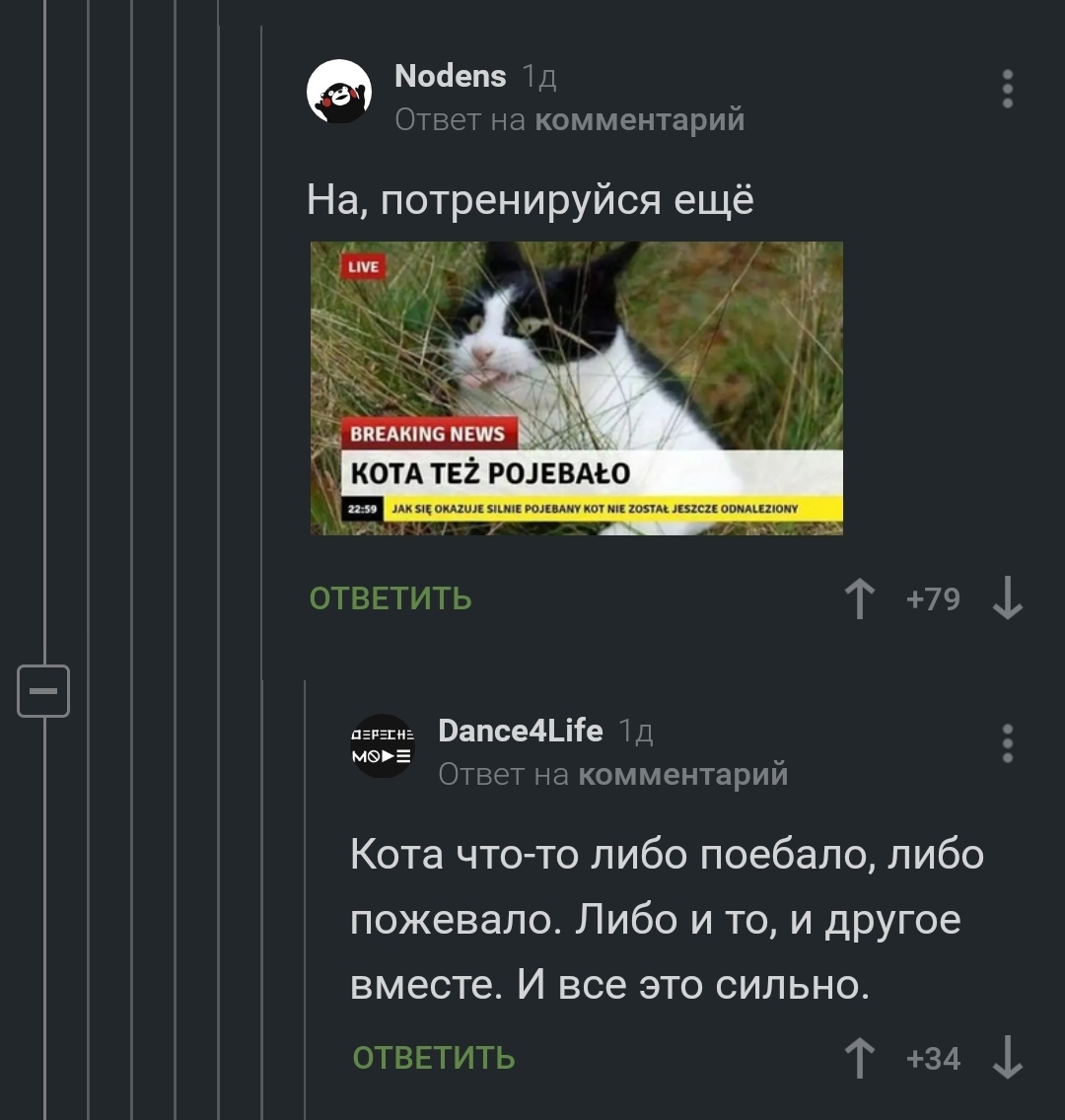 Learning Polish - cat, Dog, Screenshot, Comments on Peekaboo, Longpost