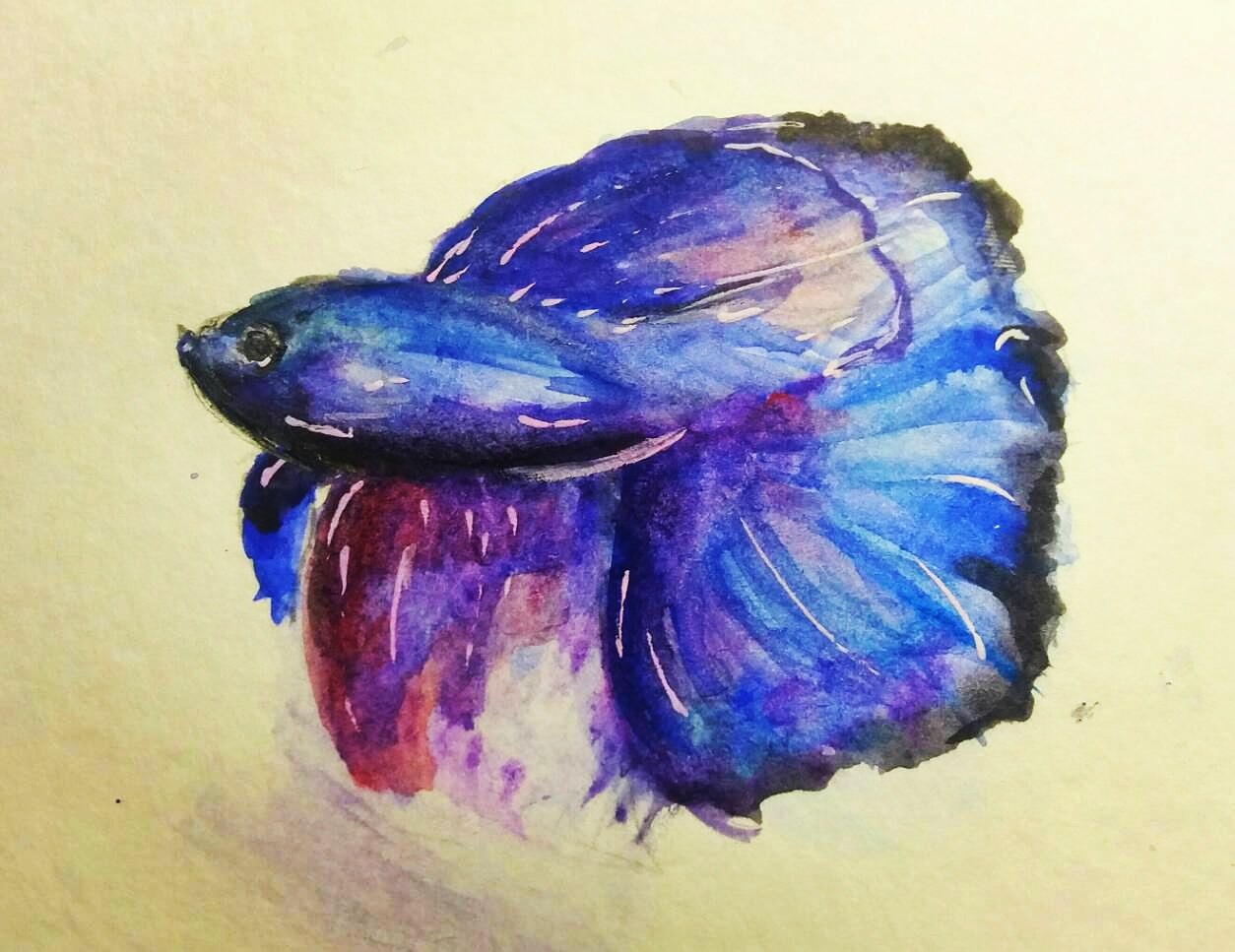 Рыбка петушок акварелью