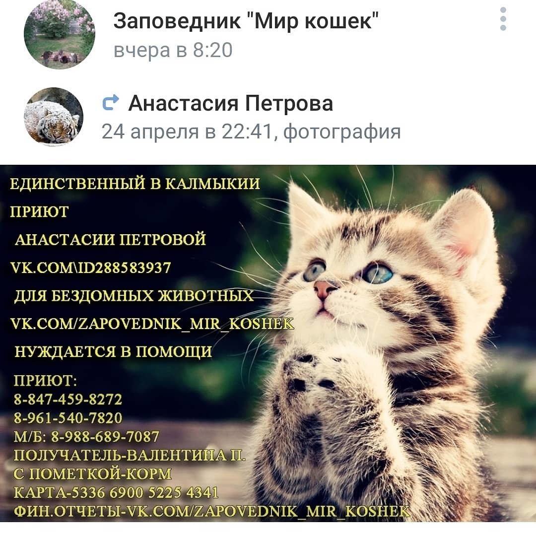 Нужна помощь неравнодушных людей | Пикабу