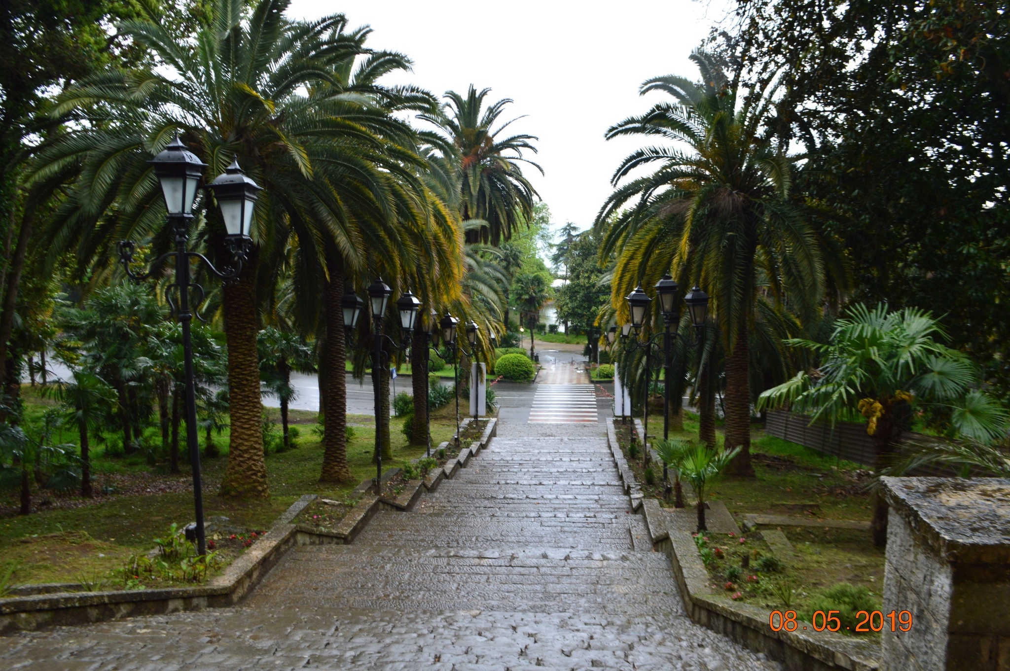 Nostalgia for Abkhazia) - My, Abkhazia, The photo, Travels, archive, New Athos, Gagra, Sukhum, Longpost