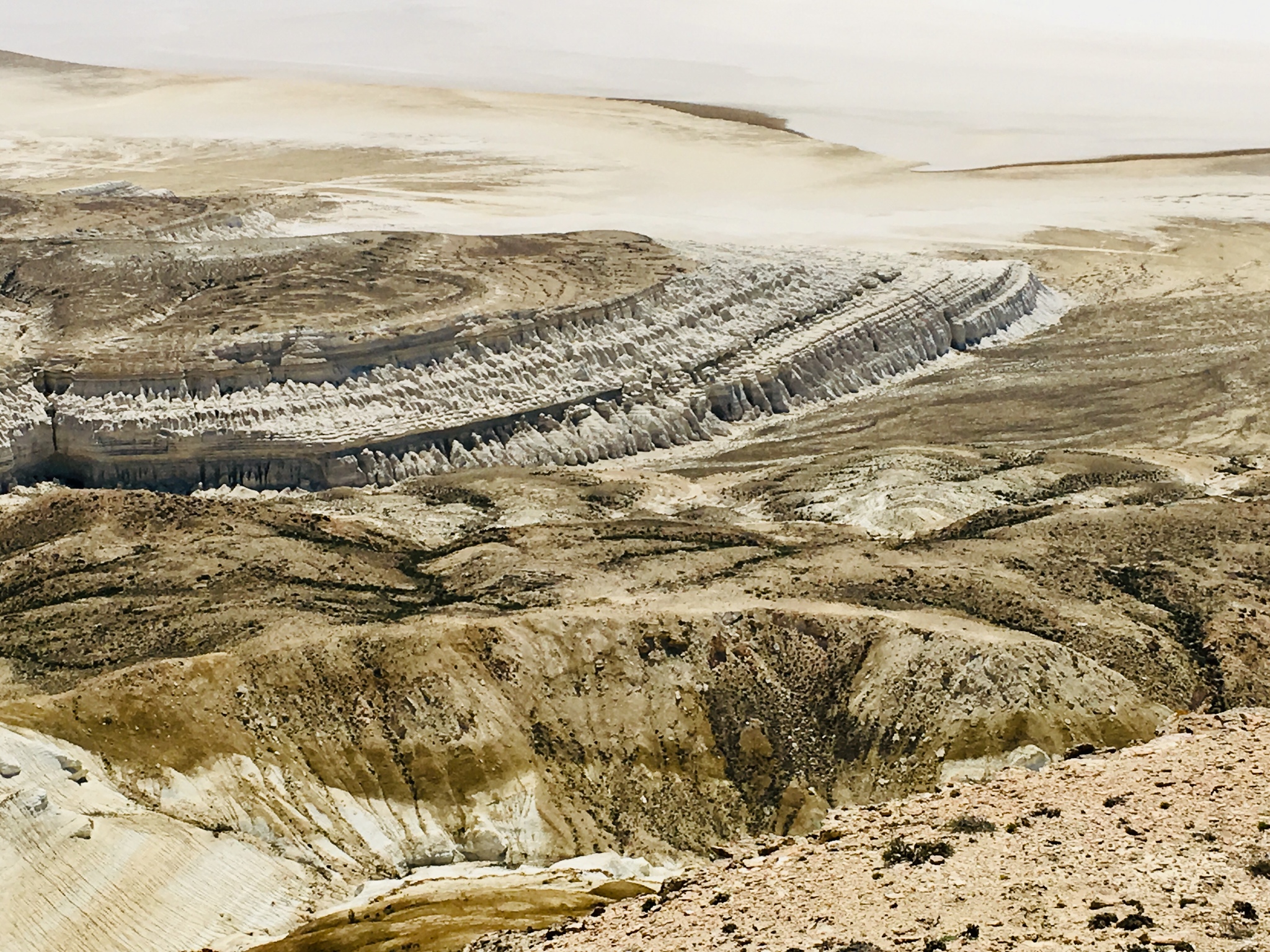 Mangistau: the origin of the region's landscapes - My, Kazakhstan, Mangystau, Geology, Fossil, Travels, Desert, Longpost