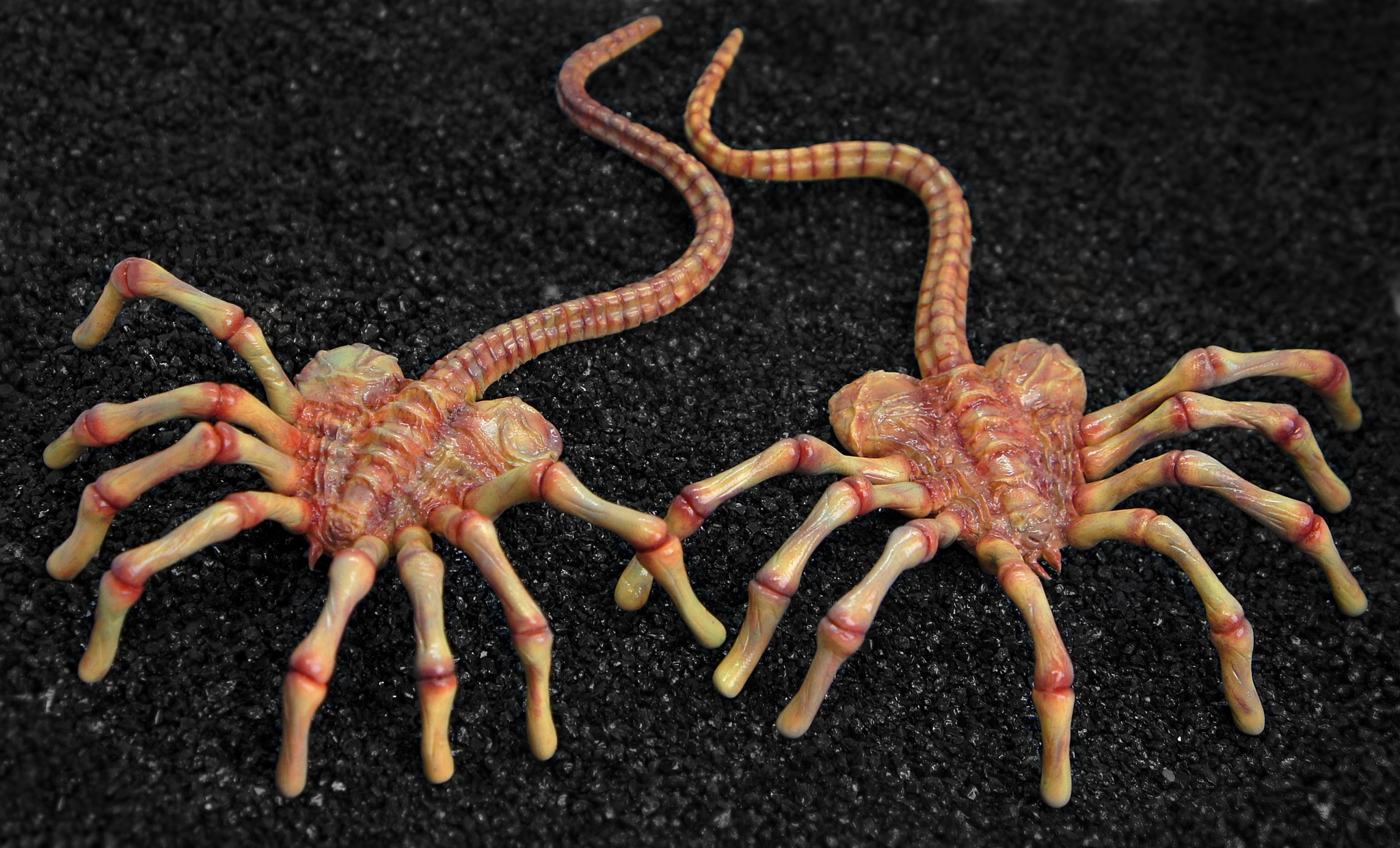 Facehuggers - My, Polymer clay, Face grabber, Alien movie, Xenomorph, Longpost