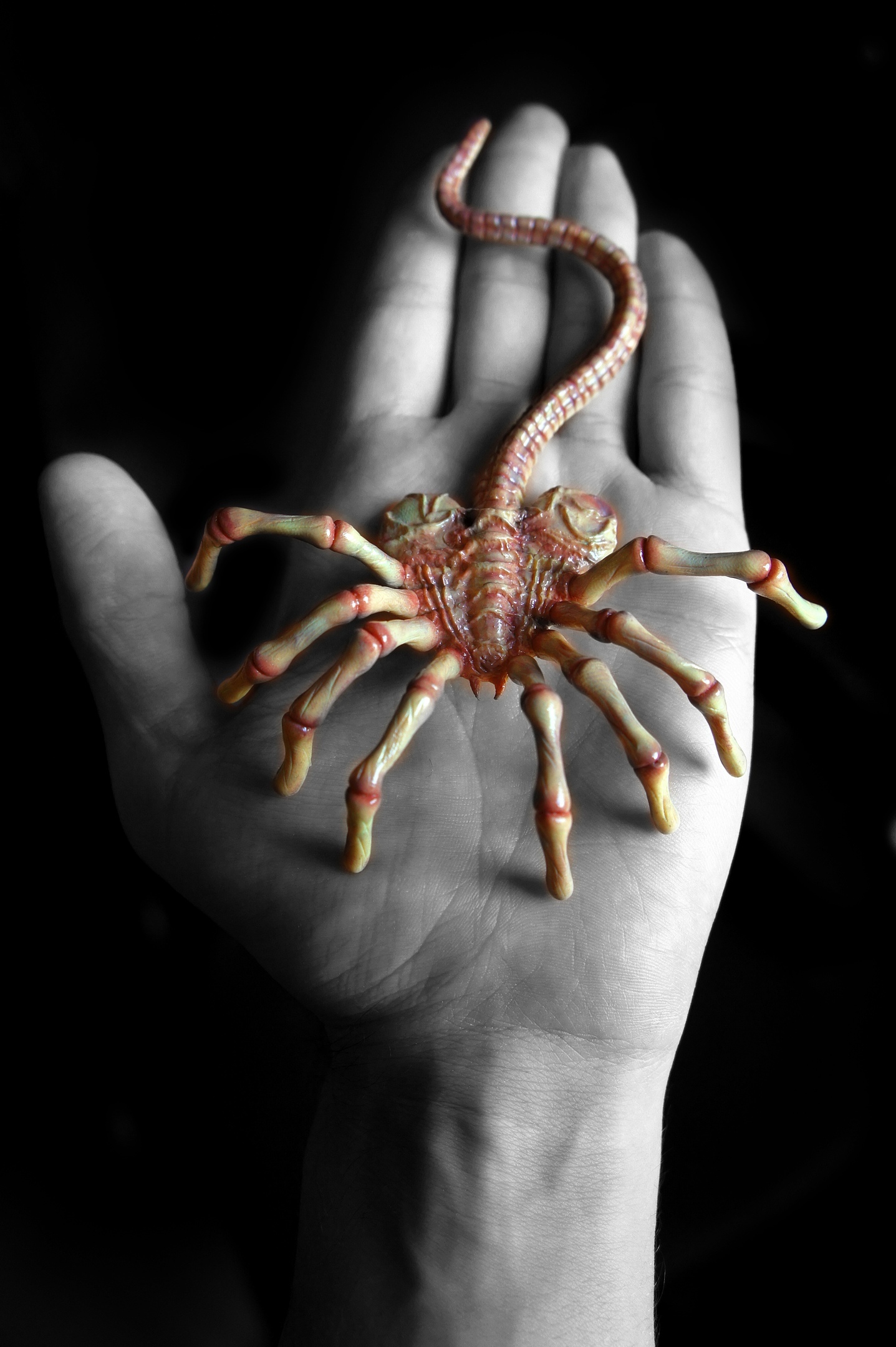 Facehuggers - My, Polymer clay, Face grabber, Alien movie, Xenomorph, Longpost