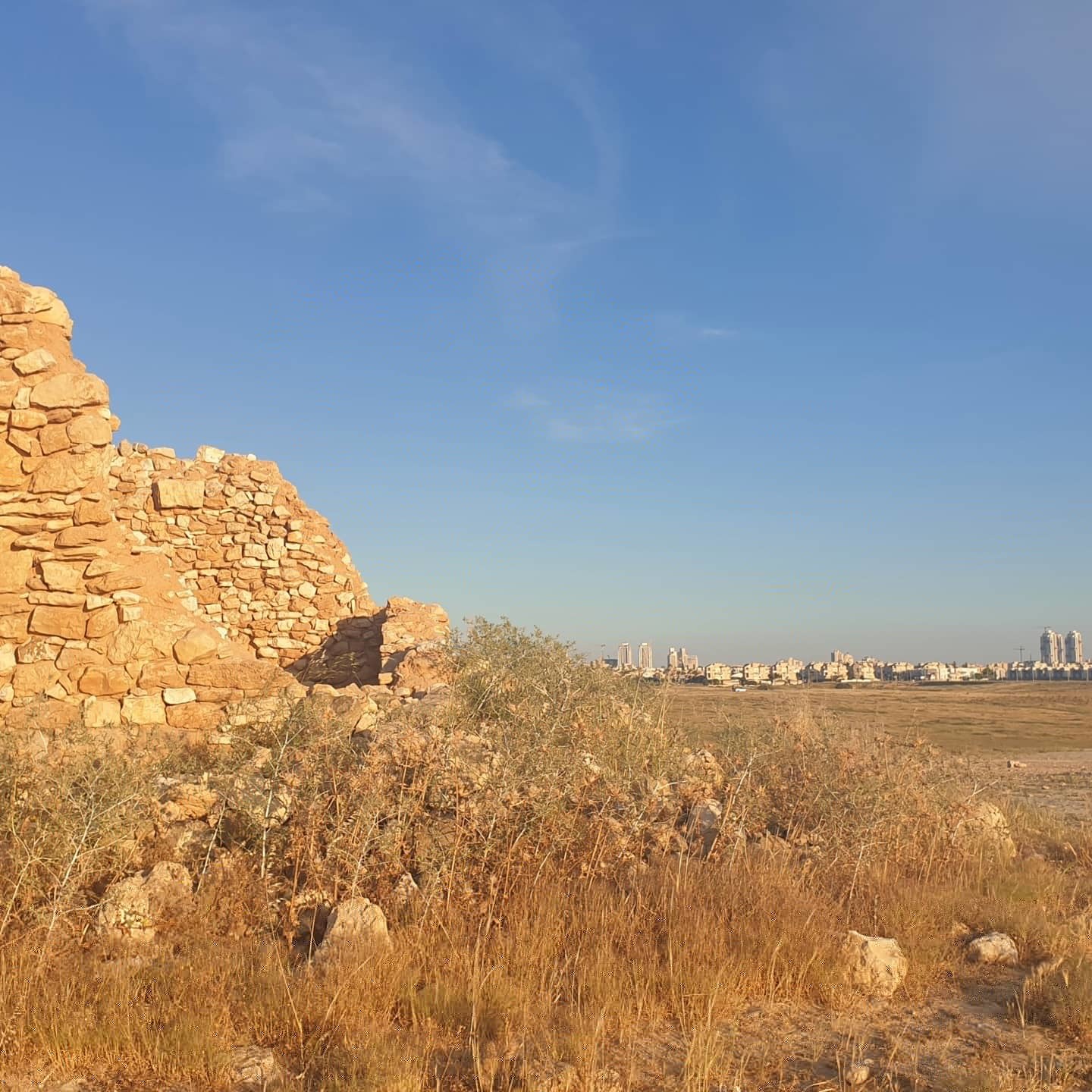 Negev desert - south of Israel - My, Negev, Gold, Longpost