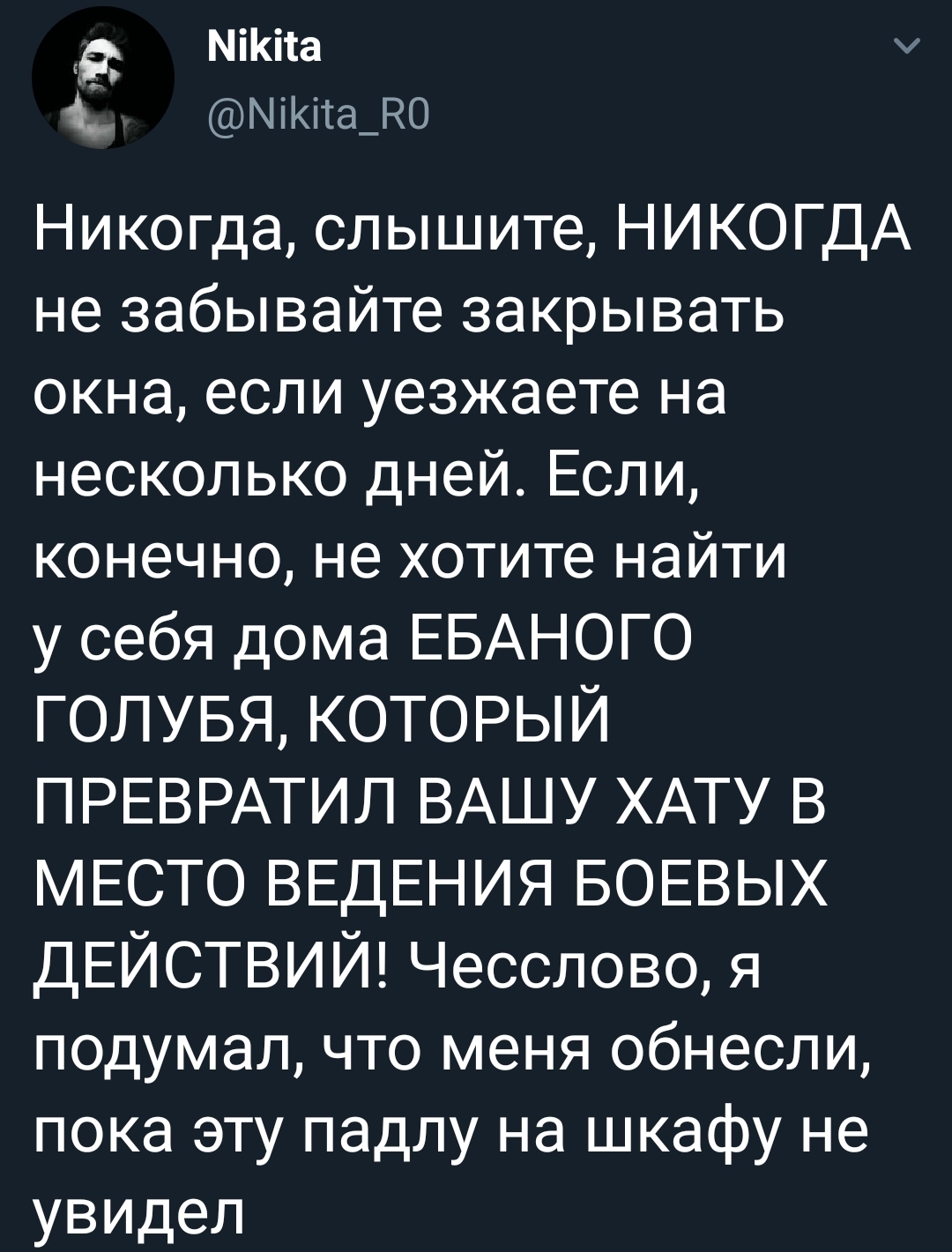 Думал обнесли, оказалось показалось - Twitter, Скриншот, Голубь, Ограбление, Беспорядок, Мат