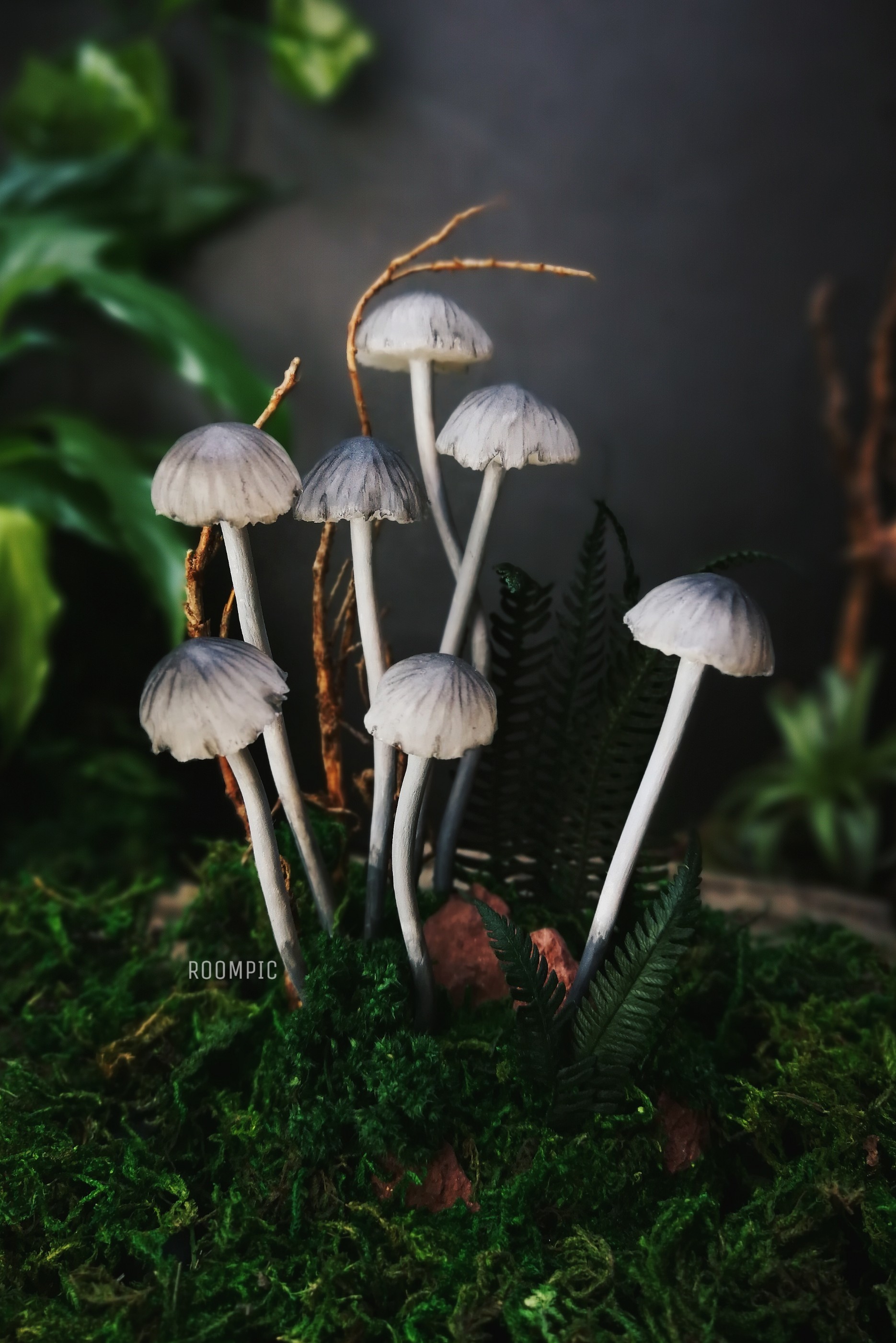 Glowing mushrooms, micro toadstools - My, Needlework without process, Handmade, Polymer clay, Mushrooms, Longpost