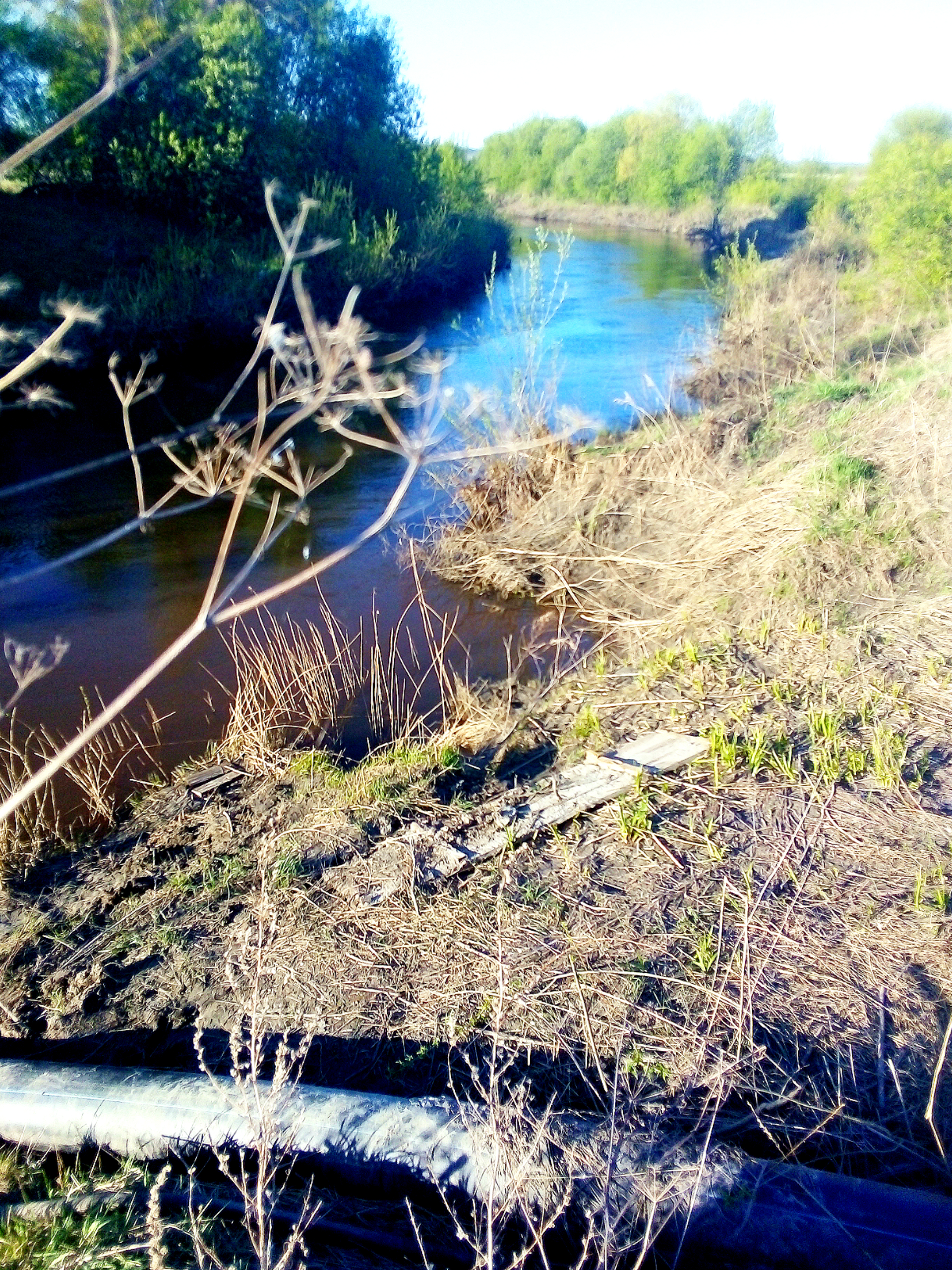 He went to live in the forest near the river. 150 days without civilization! - My, River, Forest, Nature, wildlife, Hermits, Watch, Diesel, Longpost