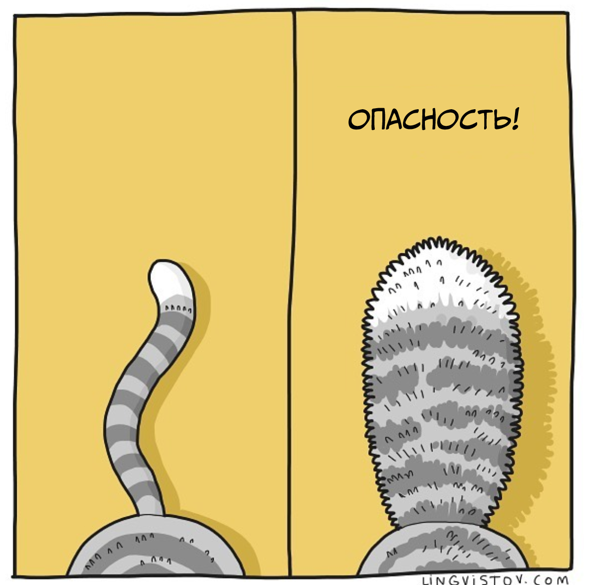 From the life of cats - Comics, Lingvistov, cat, Longpost