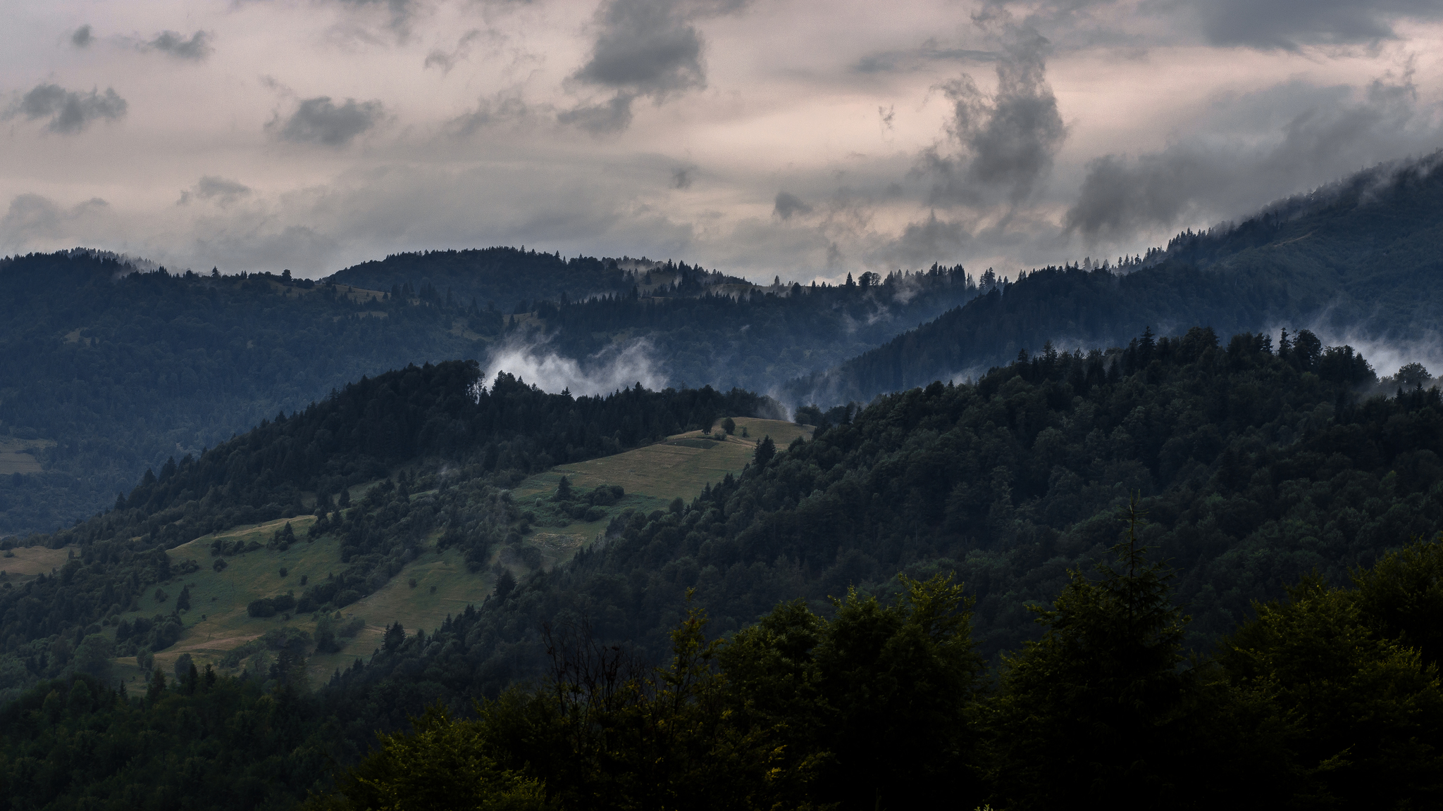 Now I would like to go to the mountains, and not all this - My, The photo, Landscape, The mountains, Carpathians, Fog, Nikon