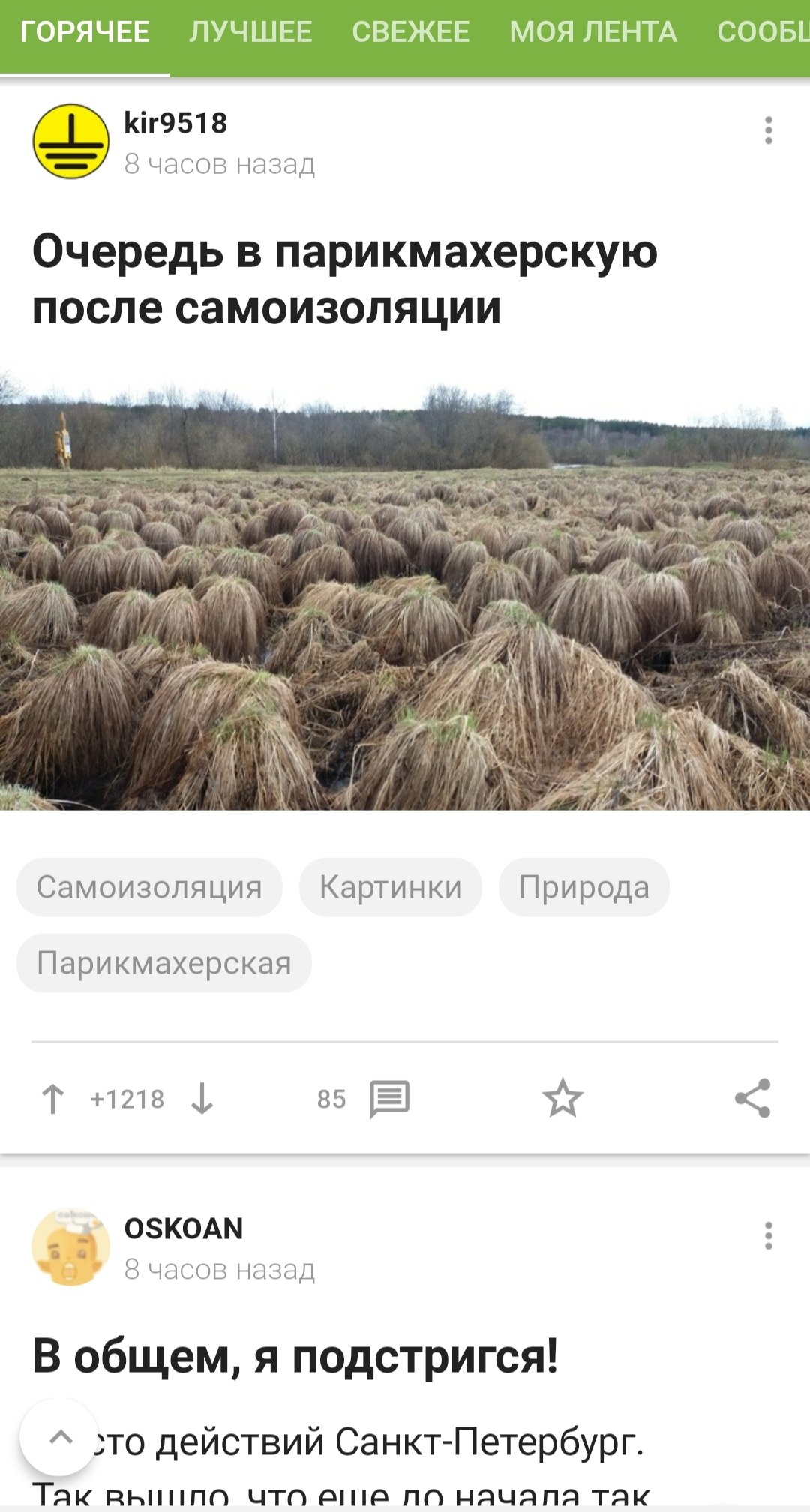 Chronicles of a haircut - Screenshot, Self-isolation, Стрижка, Posts on Peekaboo, Matching posts, Coincidence