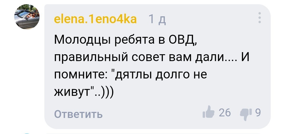 Как я стала дятлом на самоизоляции - Моё, Коронавирус, Самоизоляция, Скриншот, Длиннопост, Москва