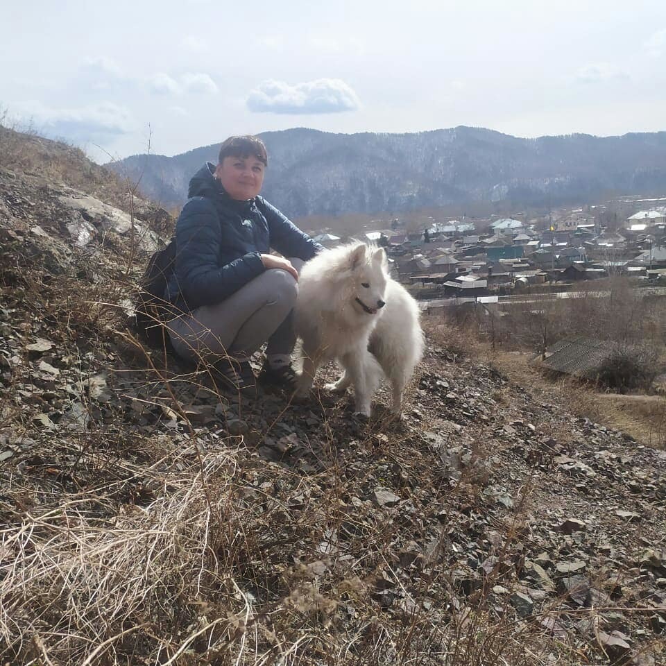 Немного белой и пушистой - Моё, Самоед, Собака, Длиннопост