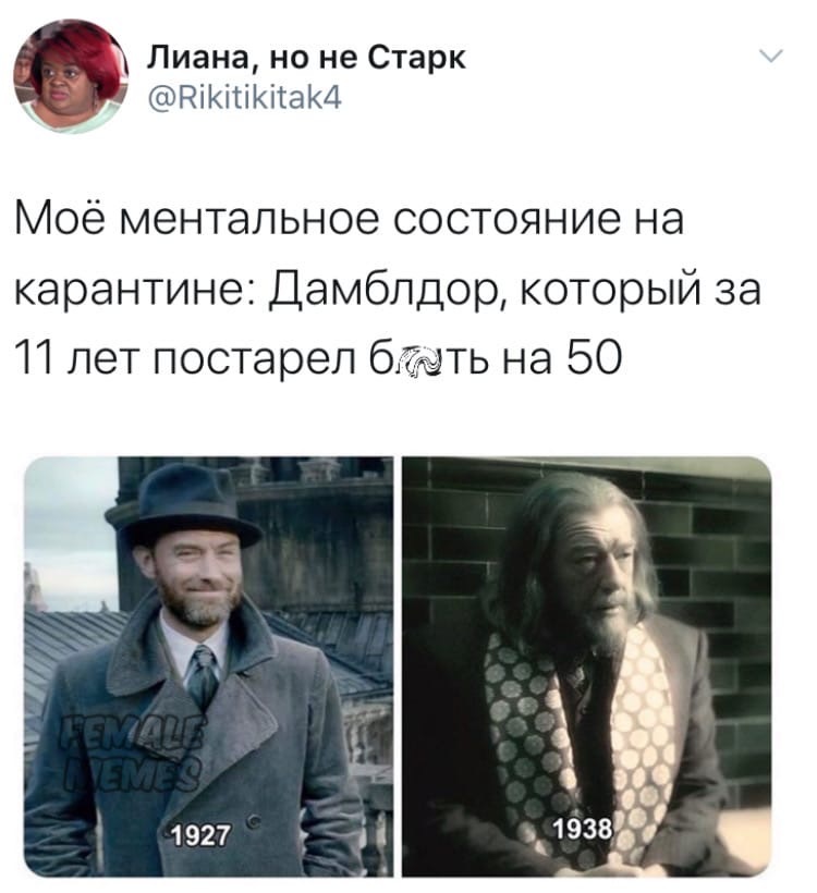 Как так - Альбус Дамблдор, Гарри Поттер, Female Memes, Фантастические твари и где они обитают, Карантин, Скриншот, Twitter