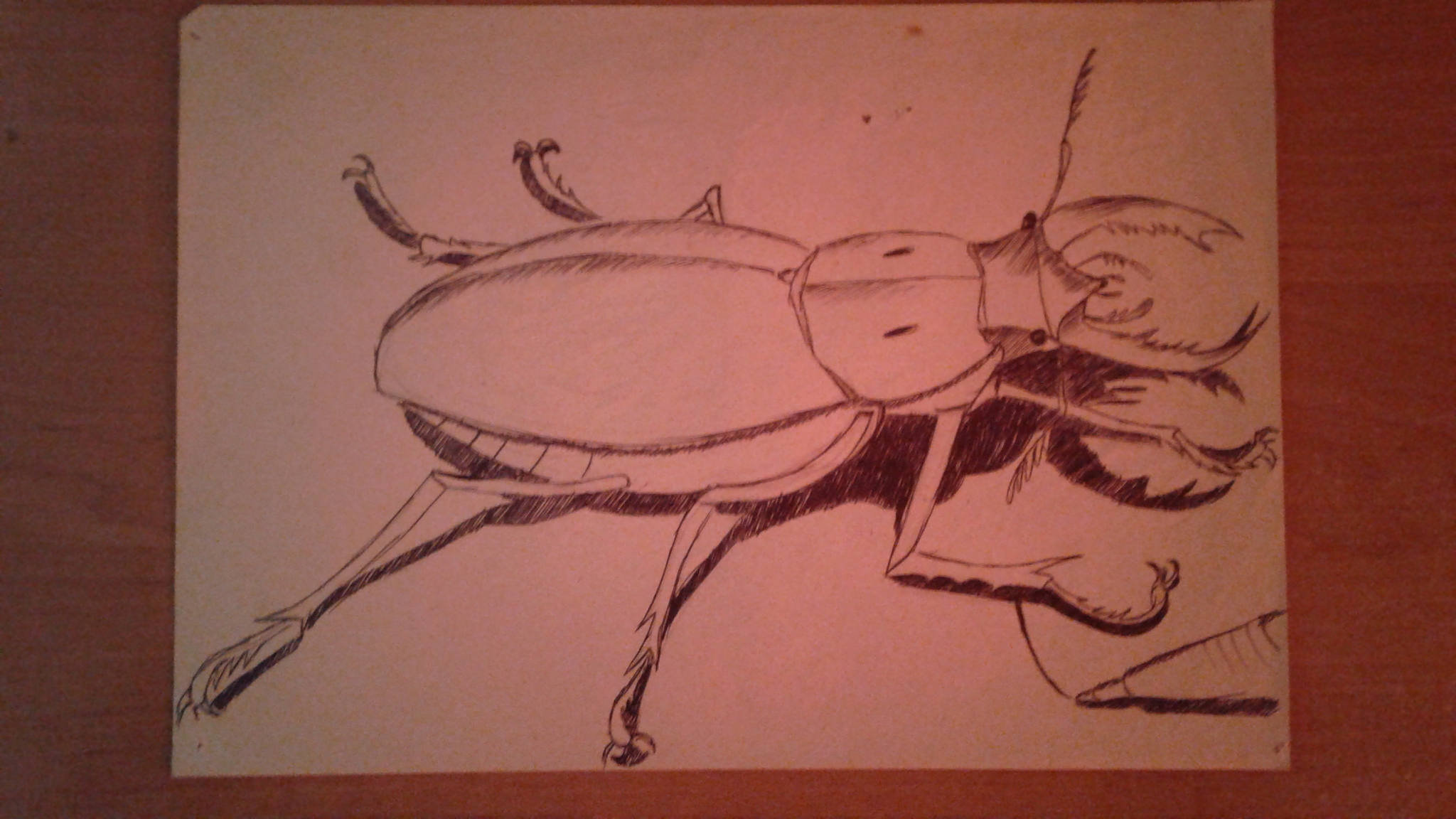 My sitters - My, Drawing, Insects, Longpost