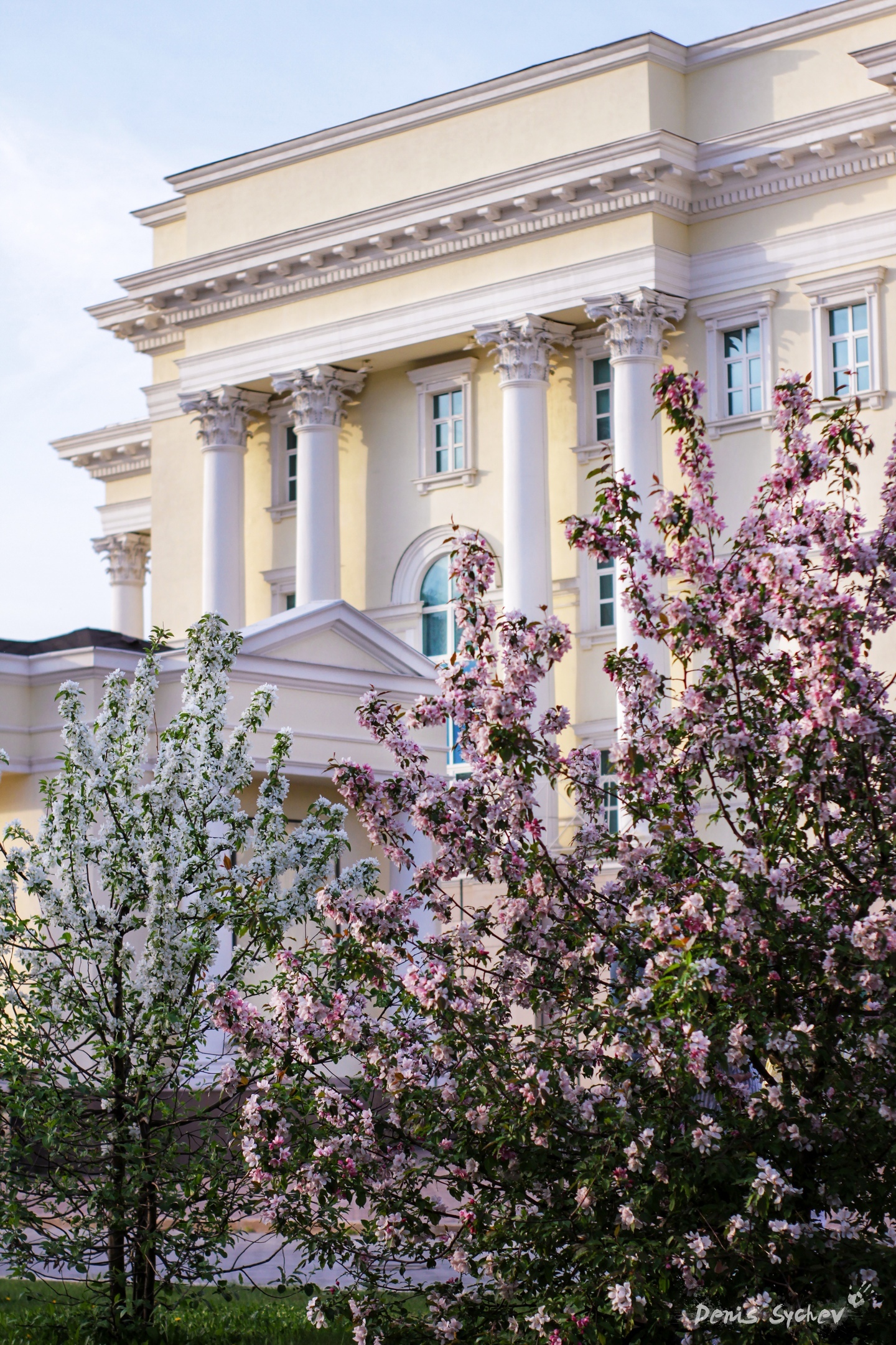 Tyumen is blooming - Spring, Tyumen, Longpost, The photo