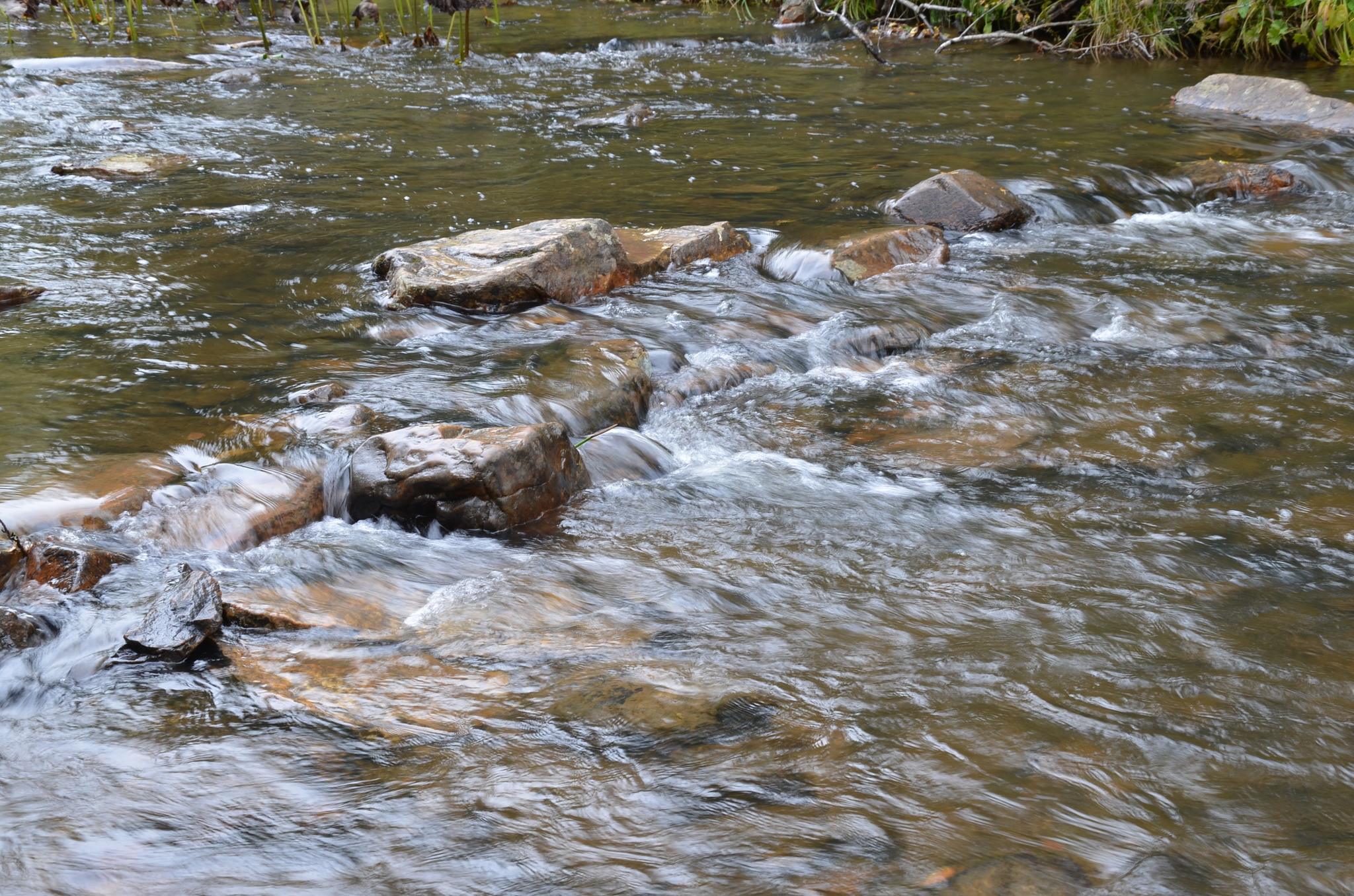 Creek - My, The photo, Nature, Stream