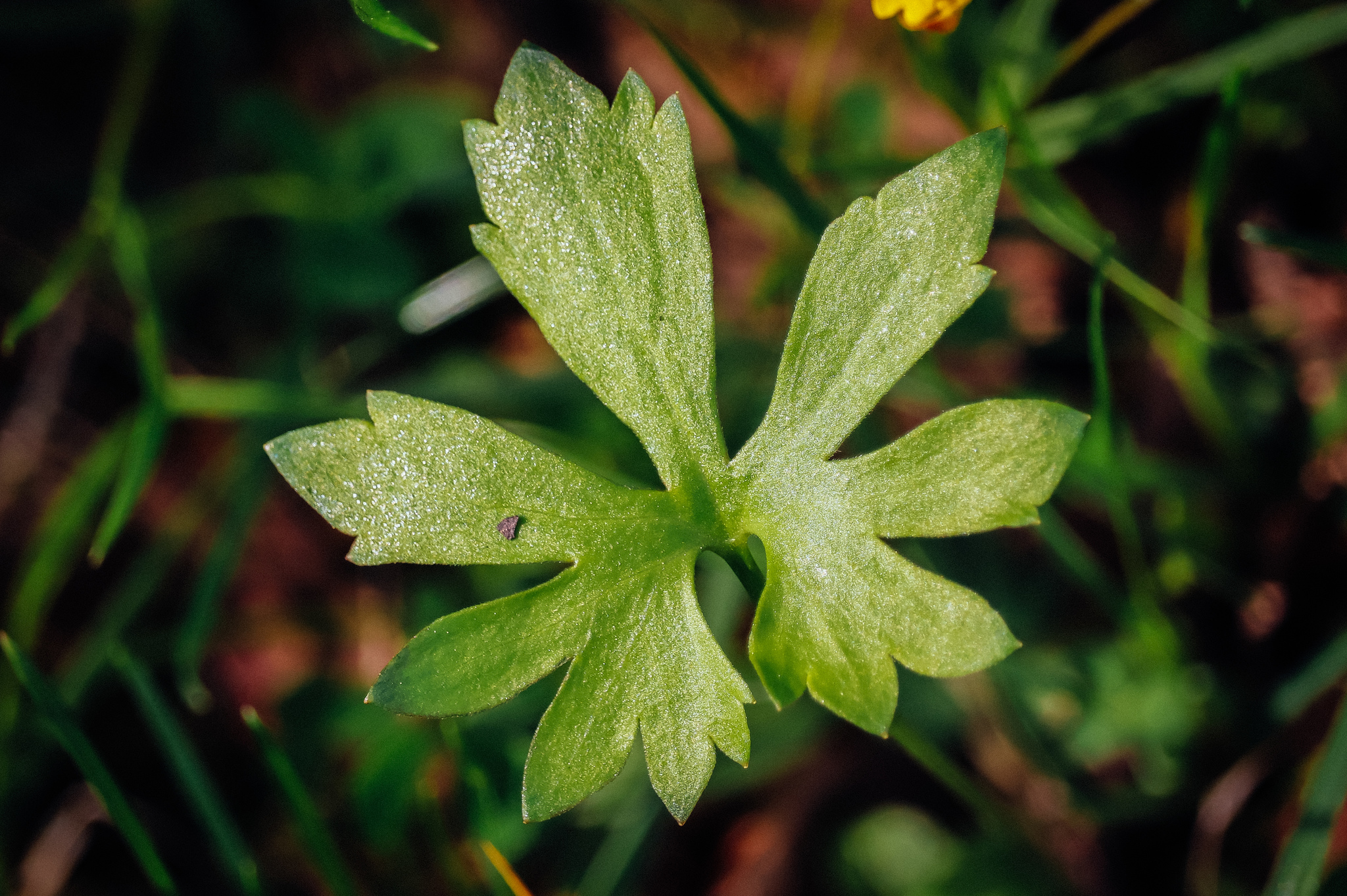 Spring mood - My, The photo, Nature, Spring, Canon 800D, Bike ride, Longpost