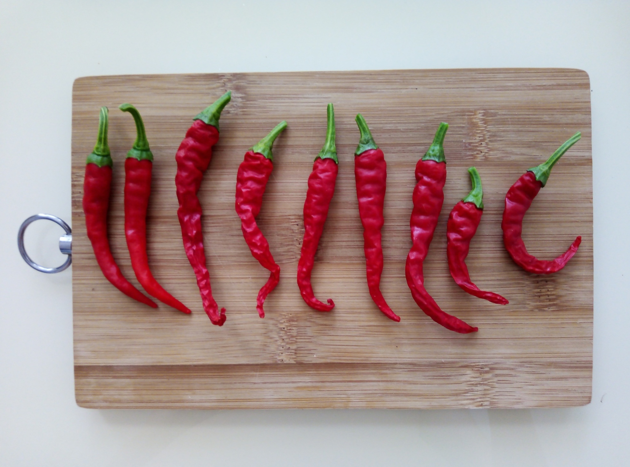 Harvest - Hot peppers, Harvest