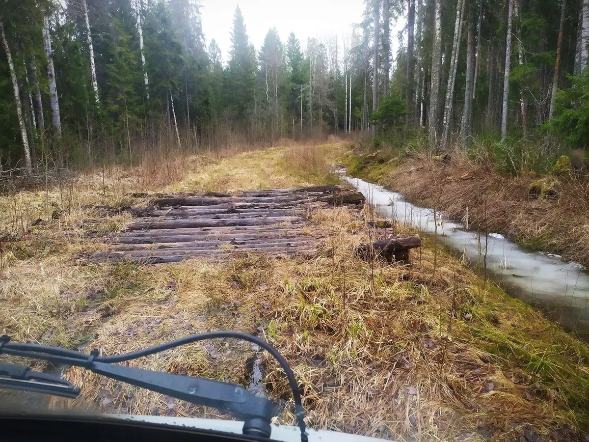 We drove along impassable logging roads of the Vepsian forest to the mysterious Finnish fortifications. Part I - Travels, Карелия, Abandoned, Forest, Swamp, Longpost, Road trip, Yandex Zen