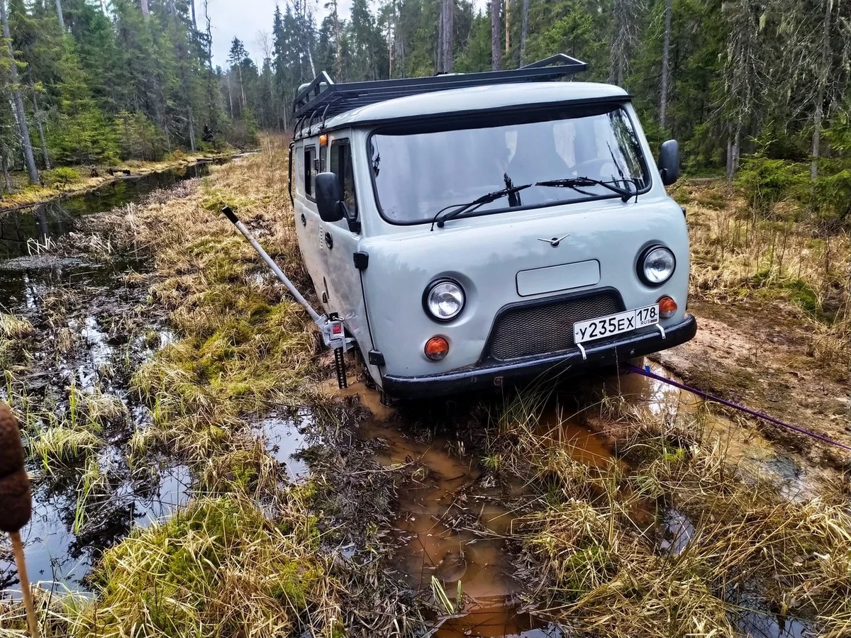 We drove along impassable logging roads of the Vepsian forest to the mysterious Finnish fortifications. Part I - Travels, Карелия, Abandoned, Forest, Swamp, Longpost, Road trip, Yandex Zen