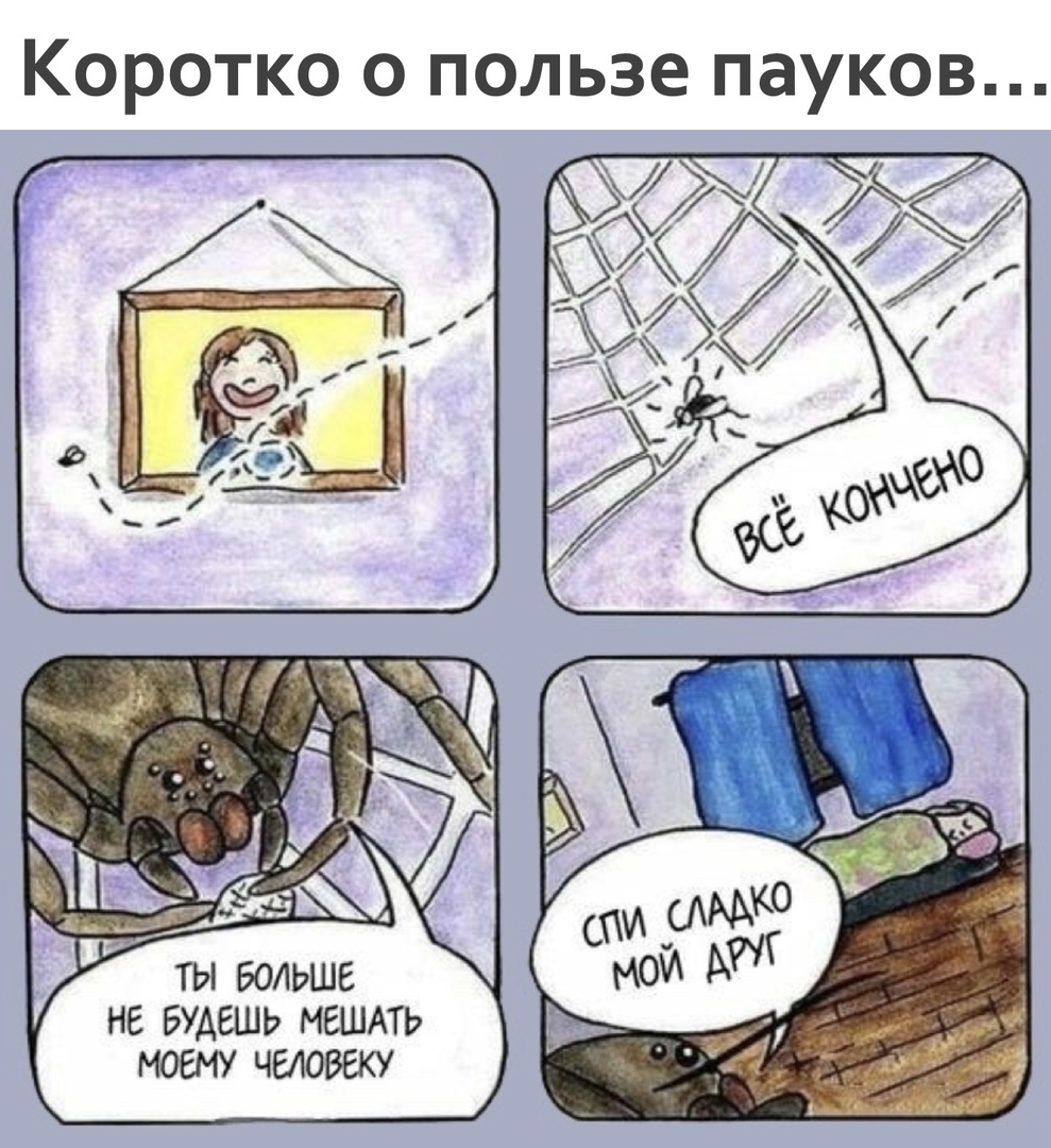 Друг в беде не бросит... - Моё, Друг, Паук, Юмор, Комиксы, Картинка с текстом