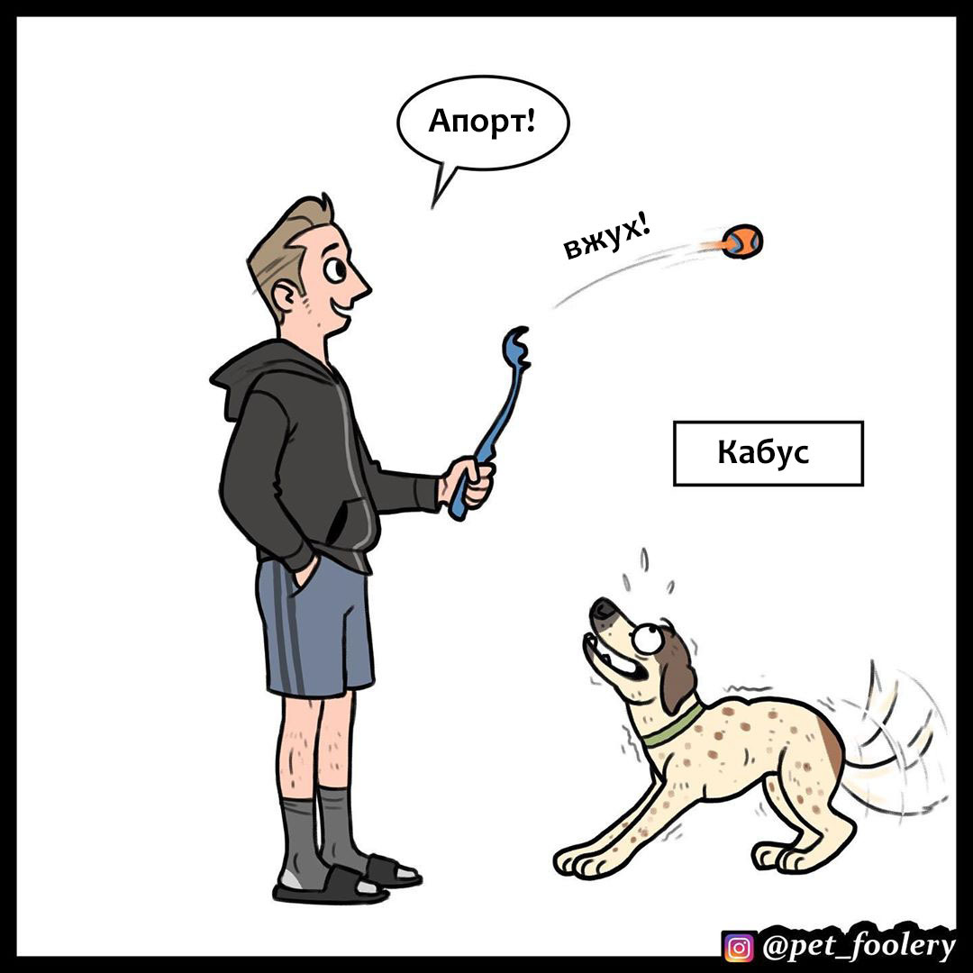 Ben on the differences between his dogs! - Pet foolery, Comics, Dogs and people, Dog, Longpost