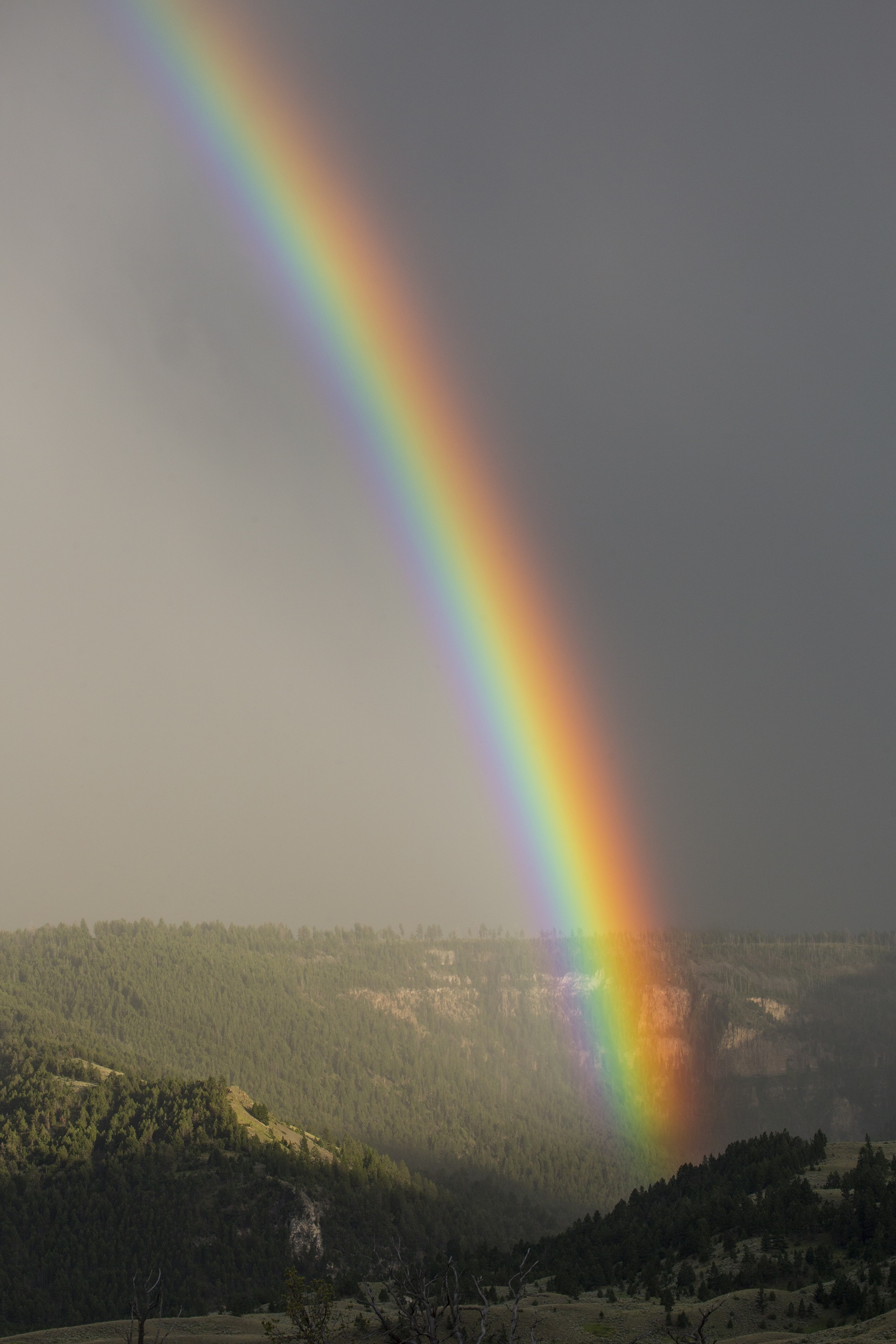 Rainbow - Rainbow, The photo