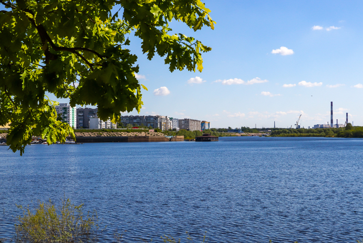 Велосипедно-пейзажное - Моё, Фотография, Природа, Велосипед, Пейзаж, Canon 800D, Растения, Насекомые, Длиннопост