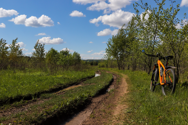 Bicycle-landscape - My, The photo, Nature, A bike, Landscape, Canon 800D, Plants, Insects, Longpost